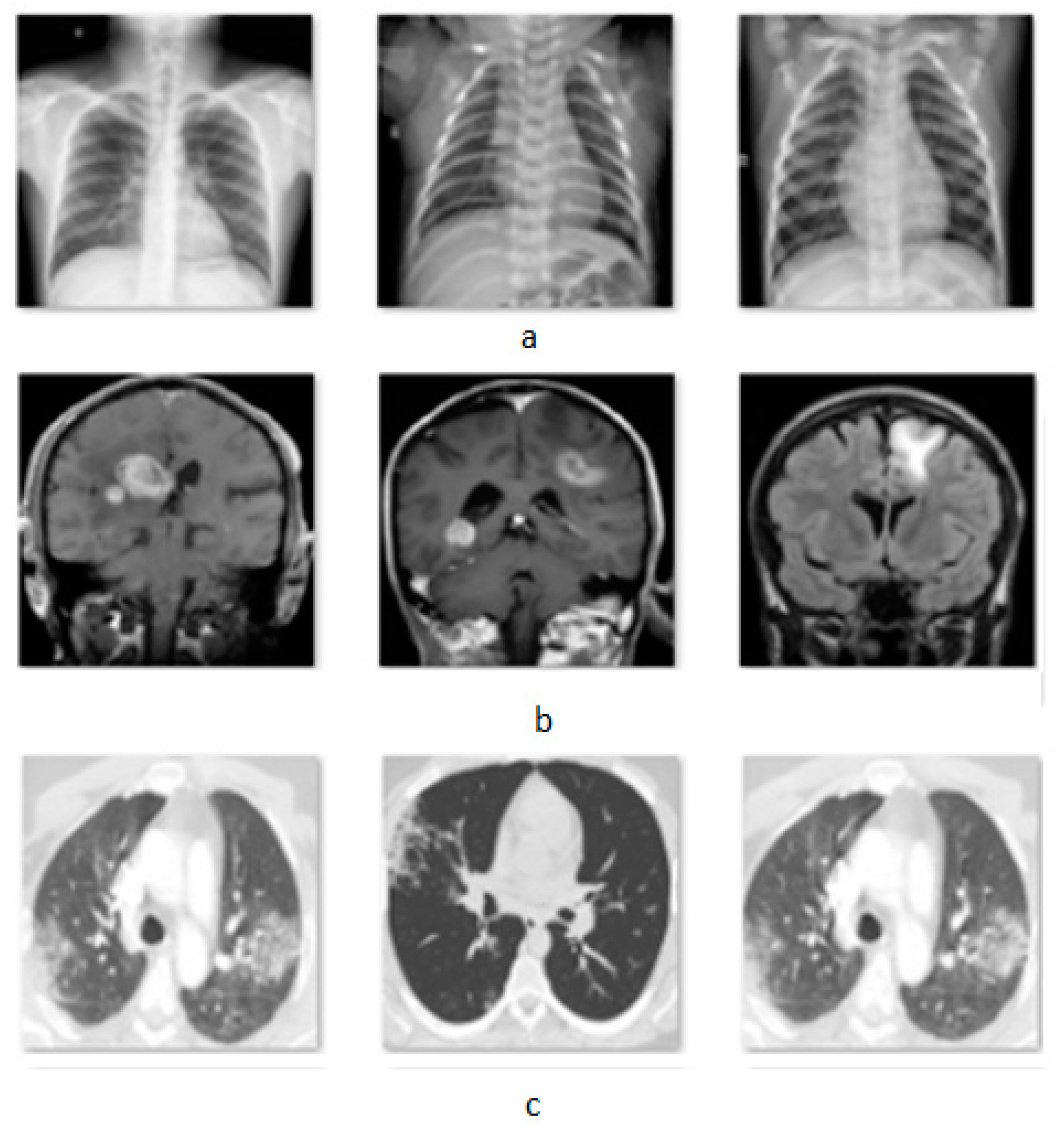 Jimaging 08 00155 g002