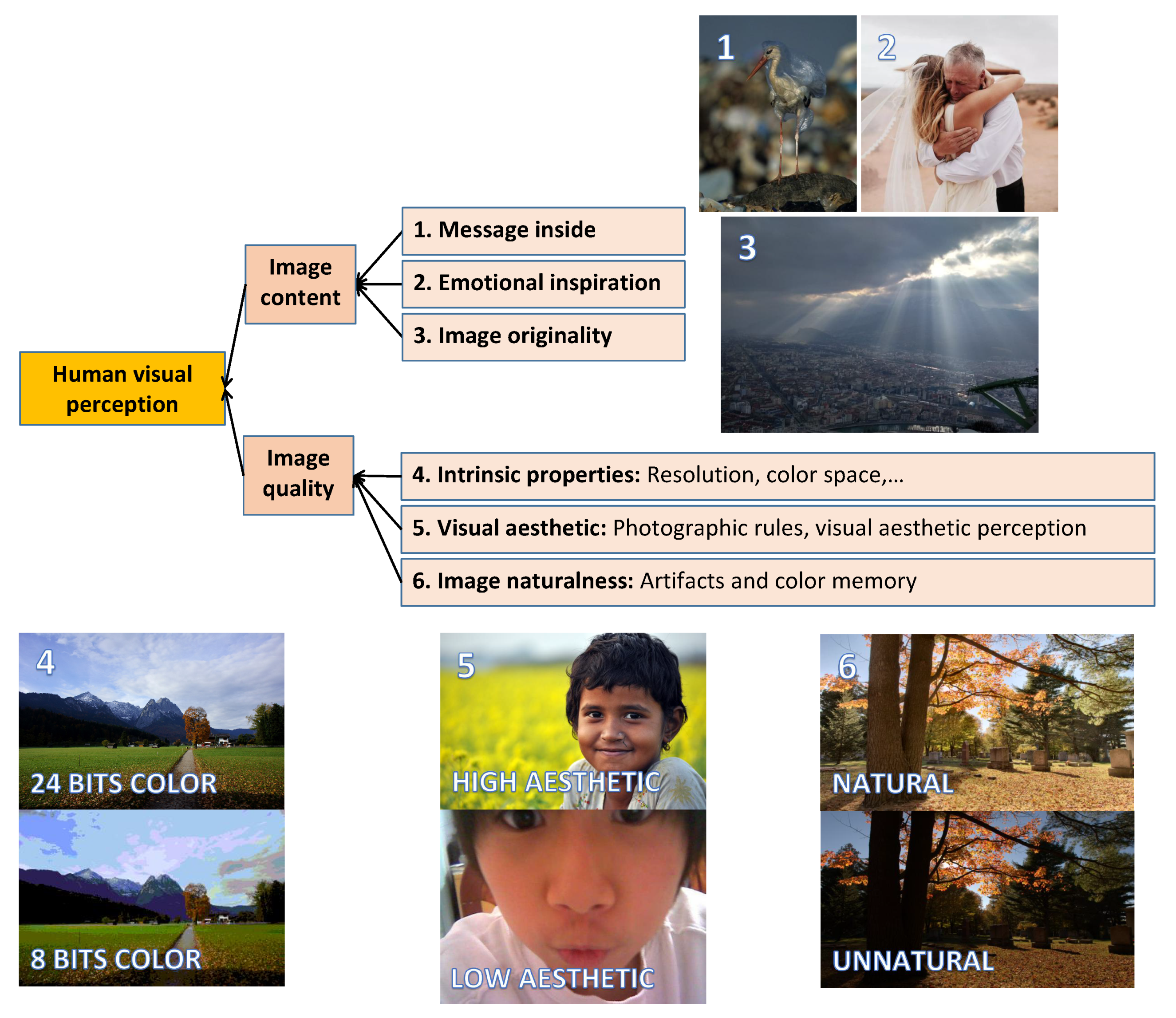 Jimaging 08 00166 g001