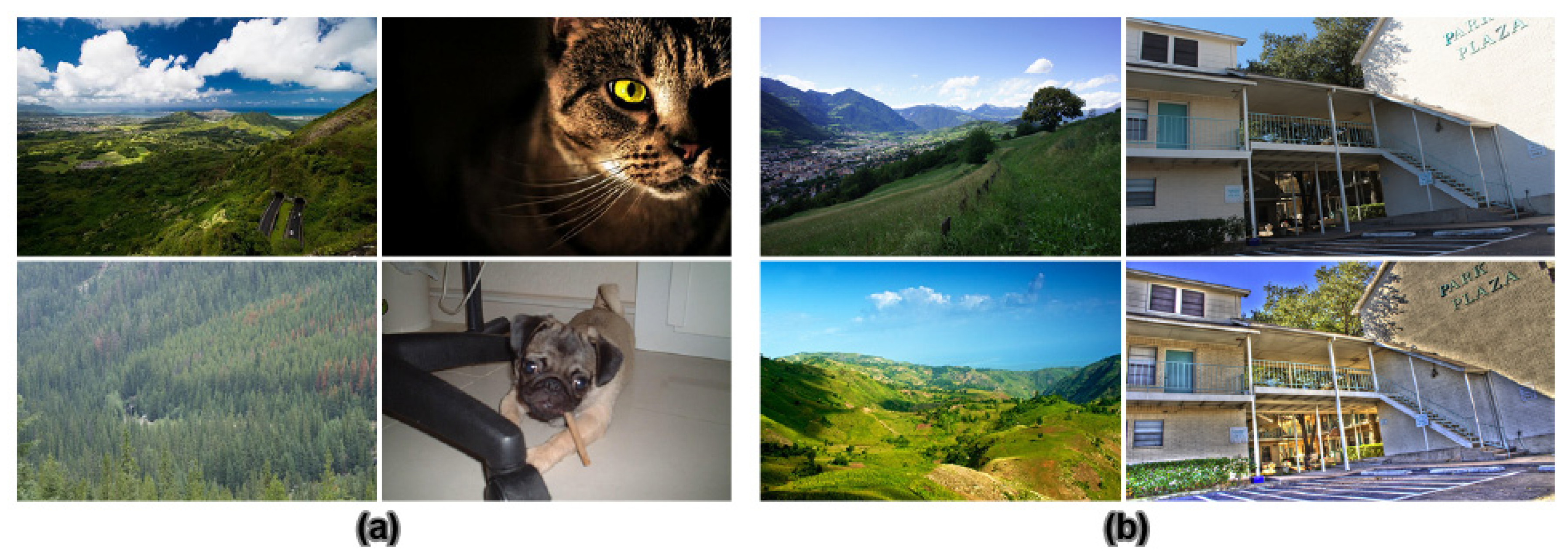 Jimaging 08 00166 g003