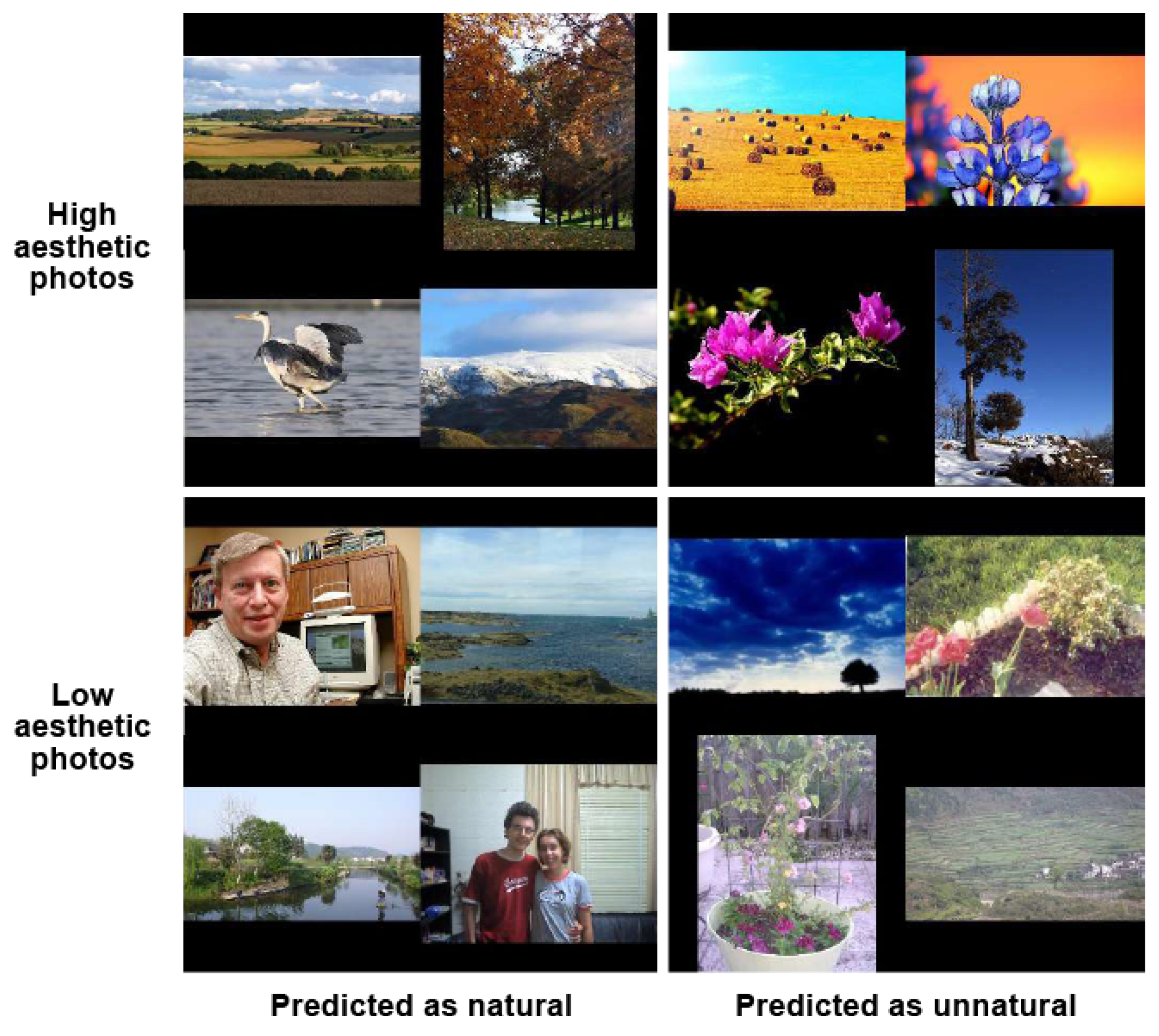 Jimaging 08 00166 g011