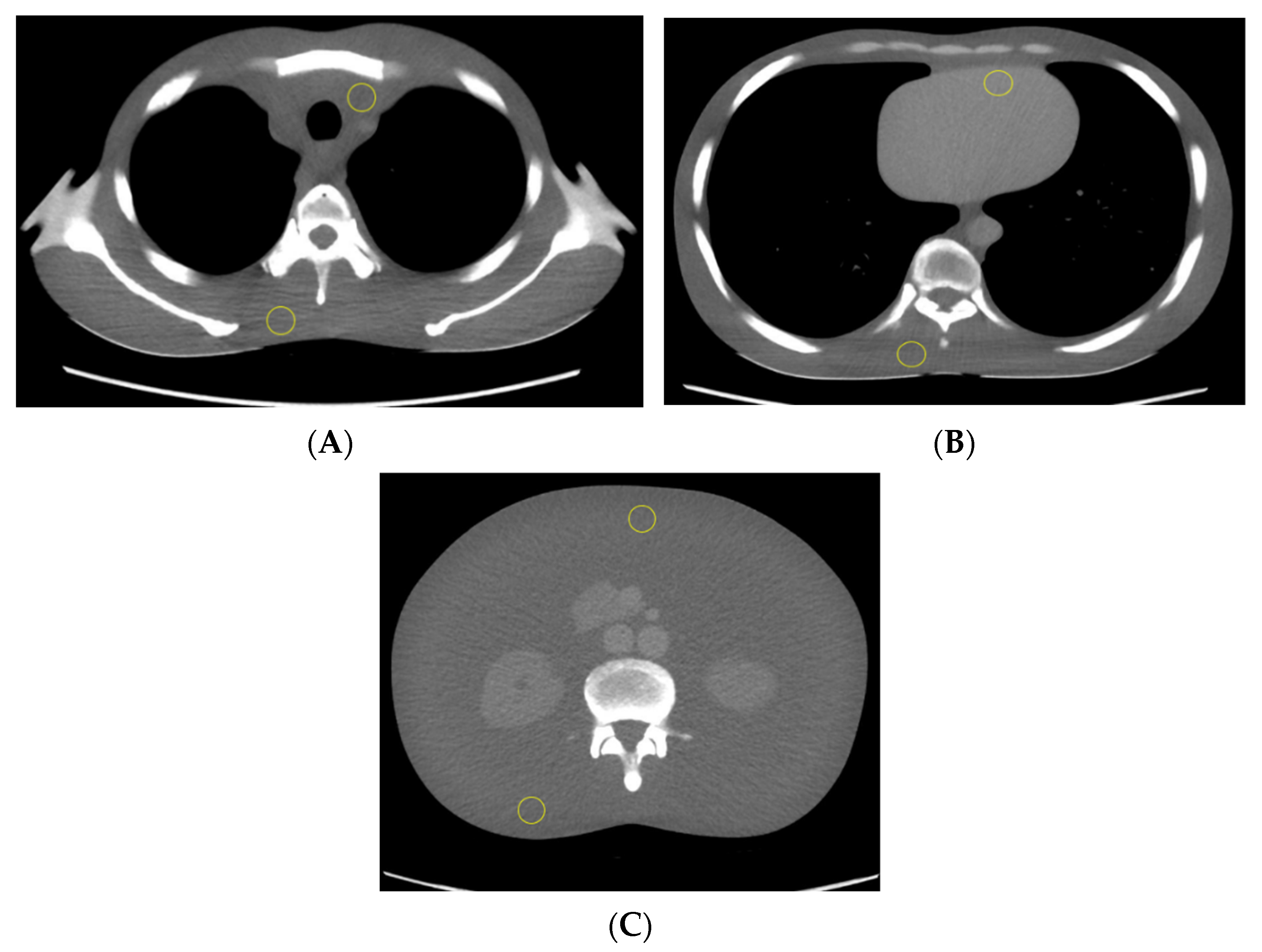 Jimaging 08 00175 g001