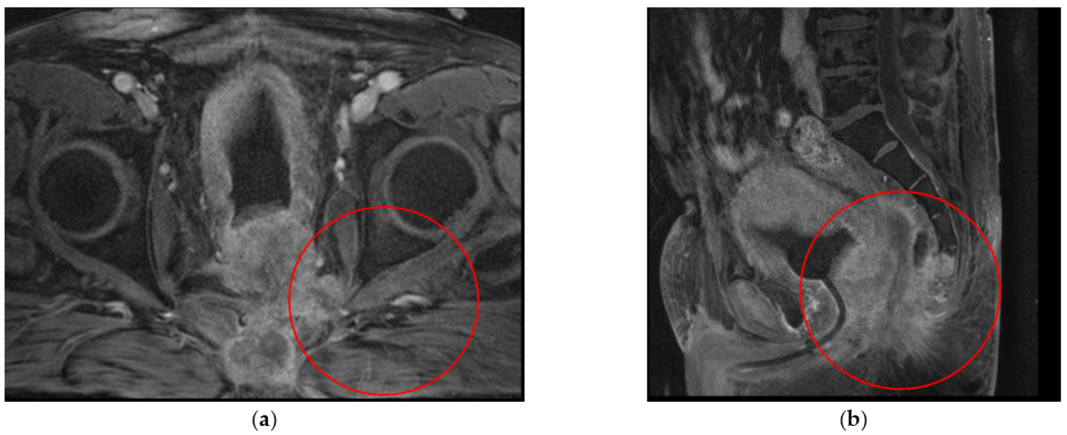 Jimaging 08 00183 g001