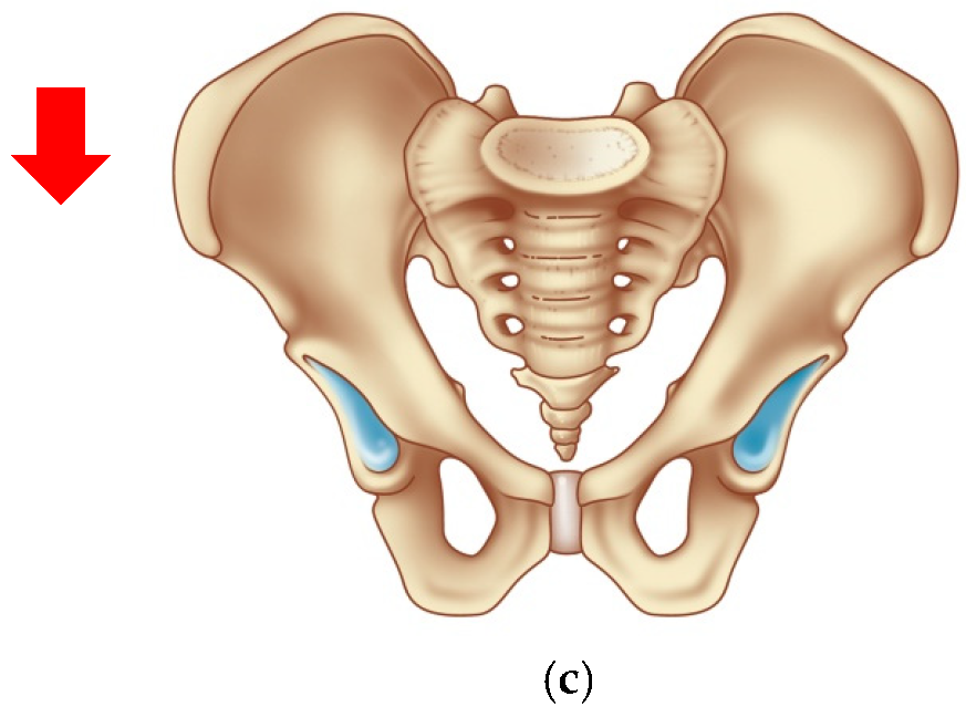 Jimaging 08 00183 g002b