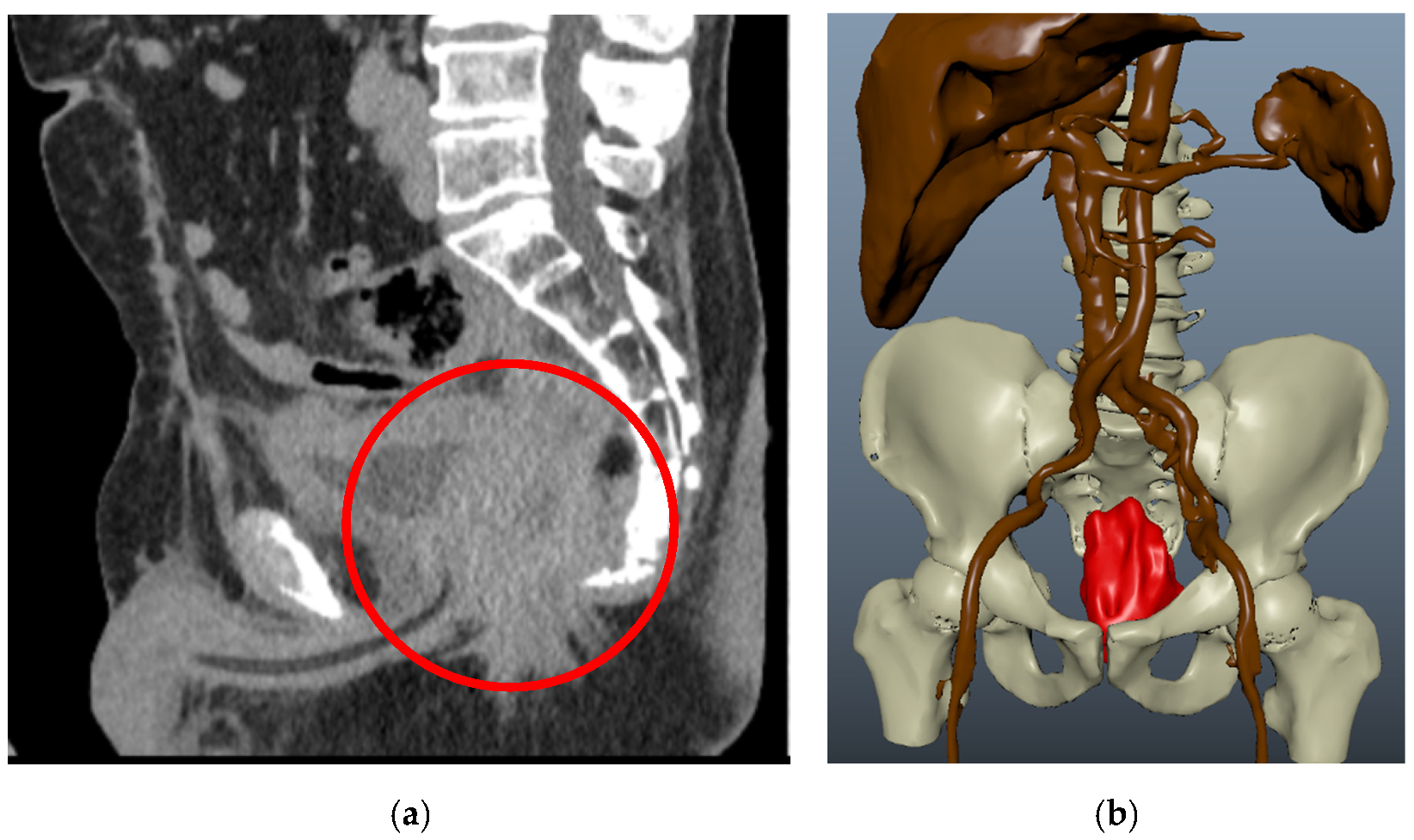 Jimaging 08 00183 g003