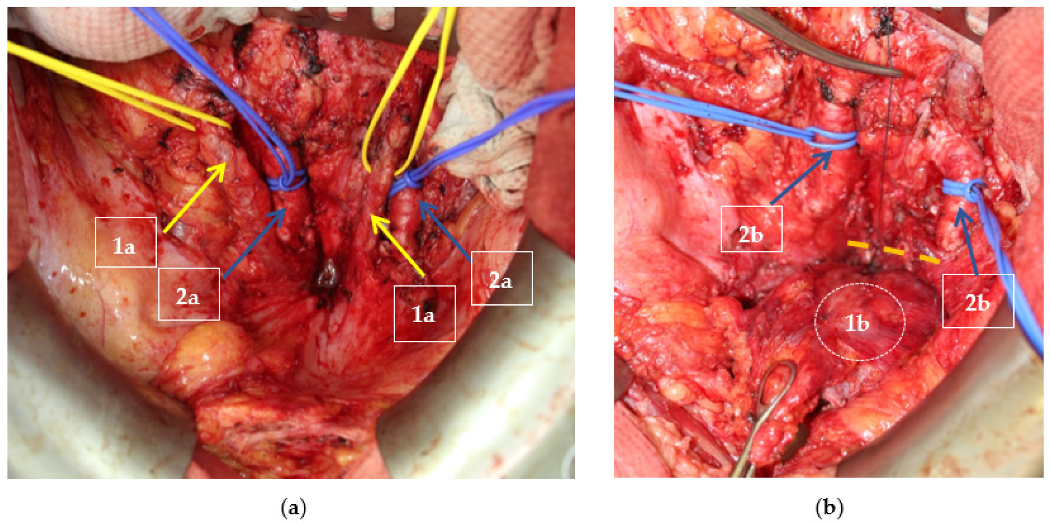 Jimaging 08 00183 g005