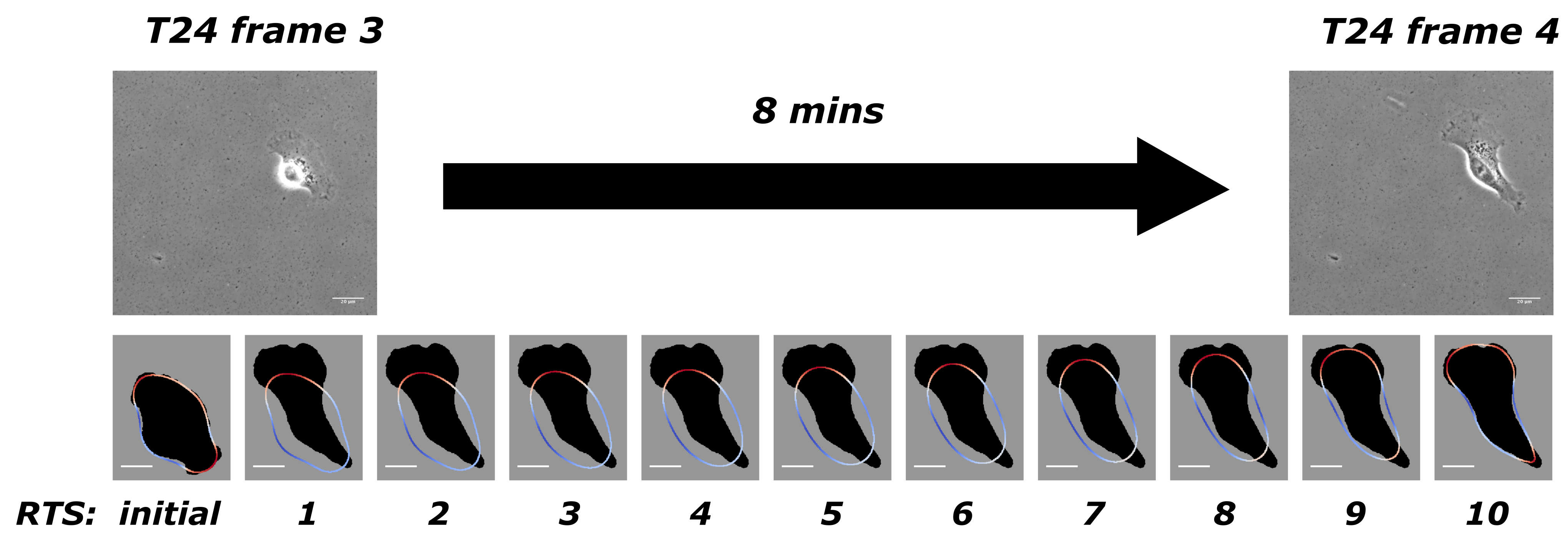 Jimaging 08 00199 g001