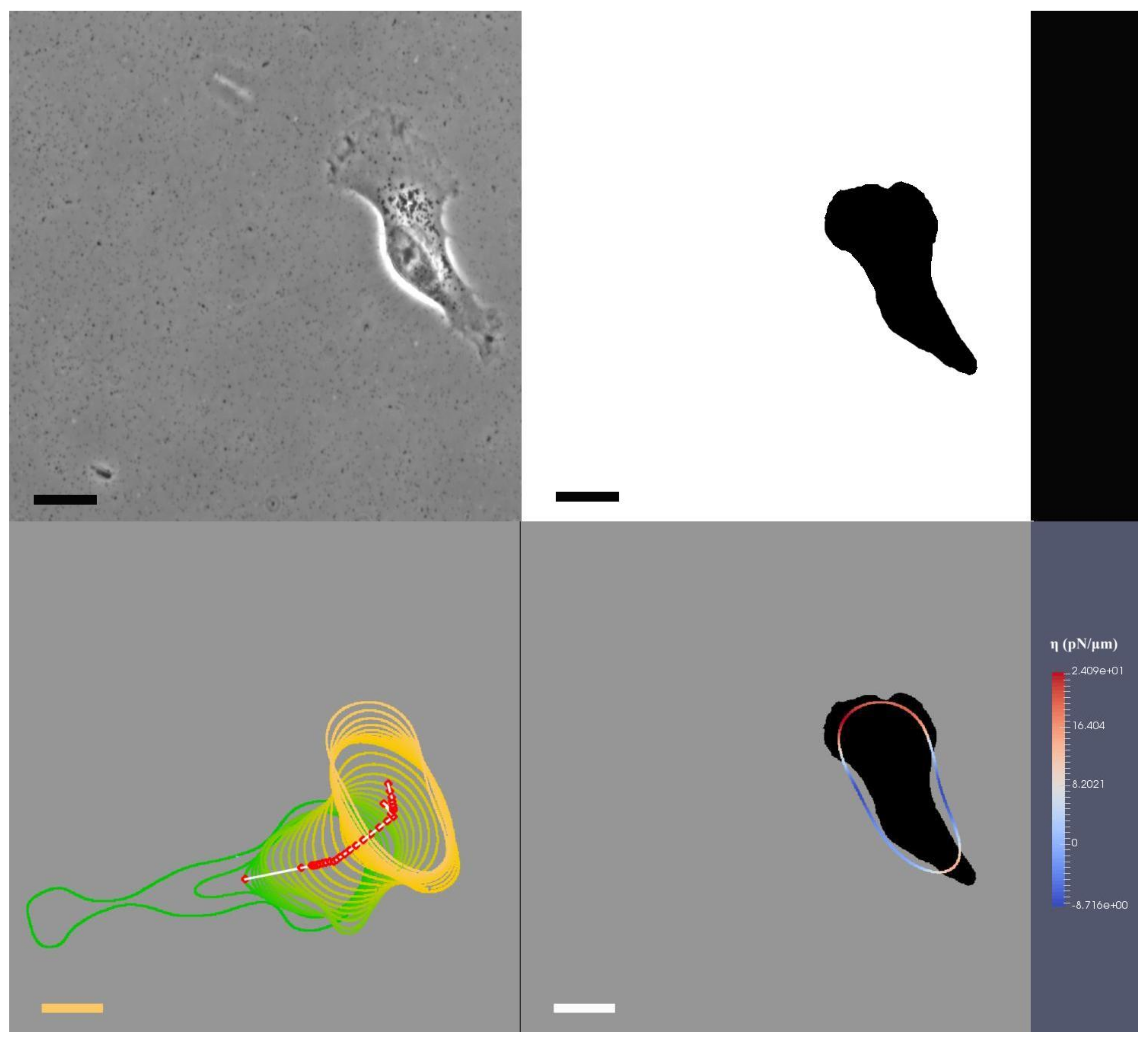 Jimaging 08 00199 g002