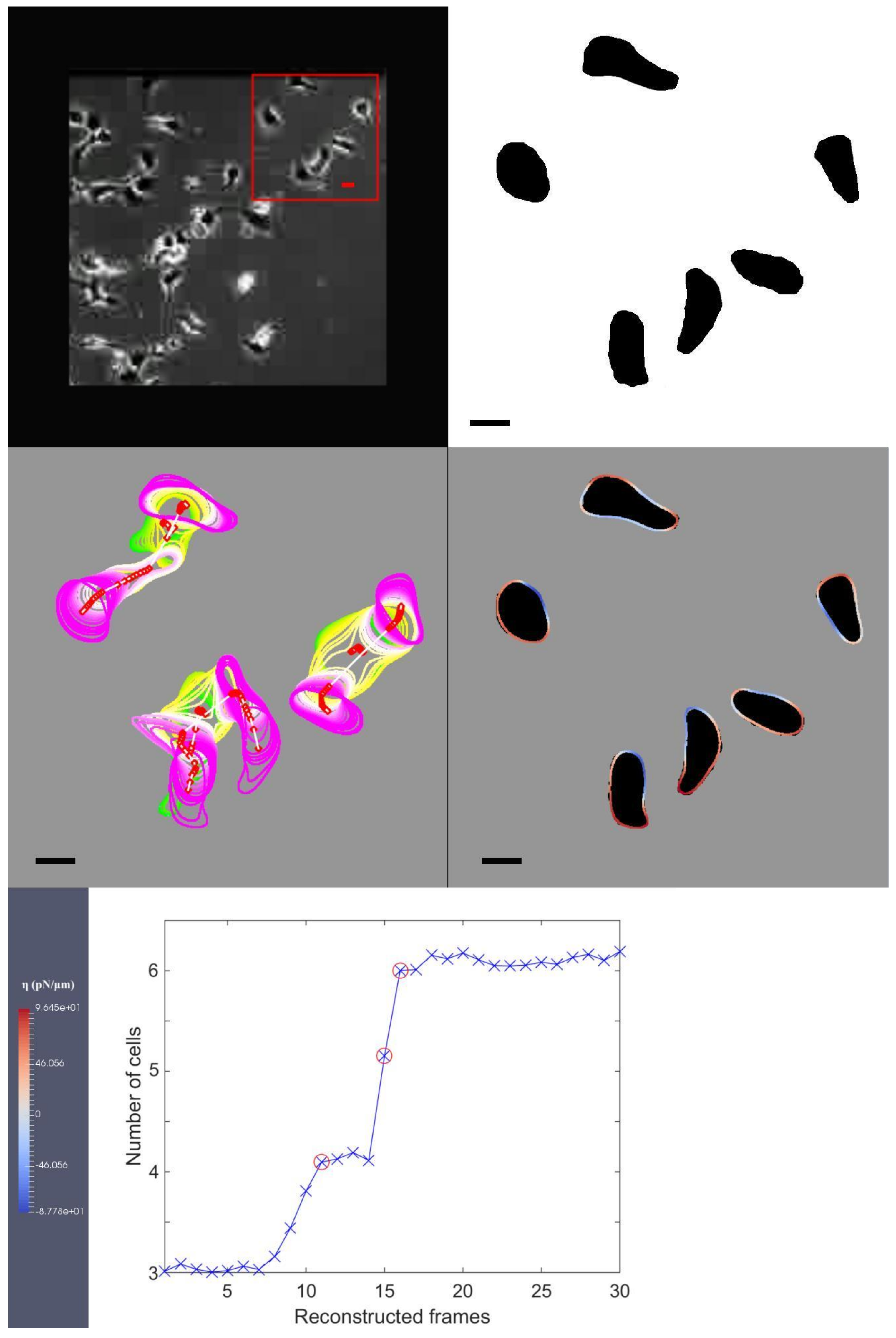 Jimaging 08 00199 g003