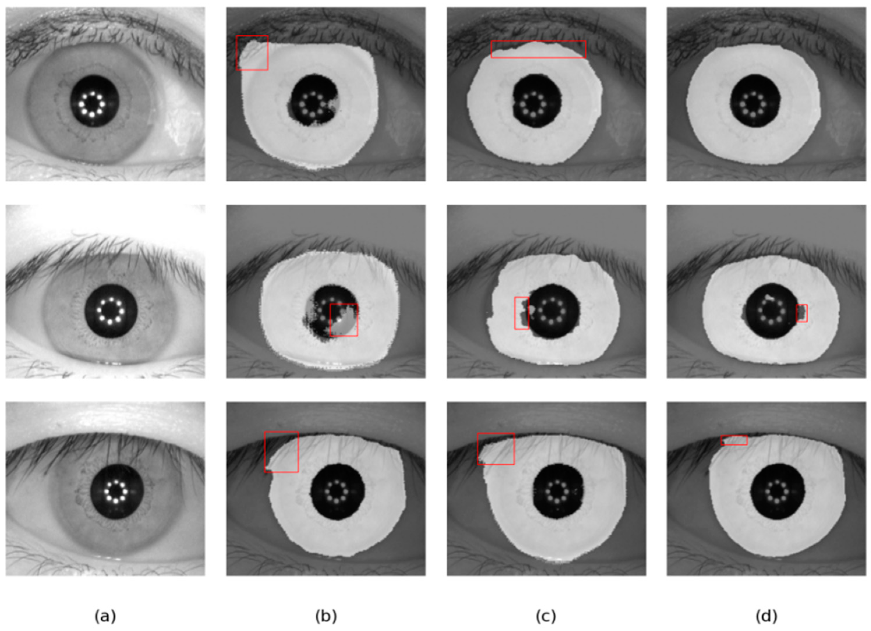 Jimaging 08 00246 g014
