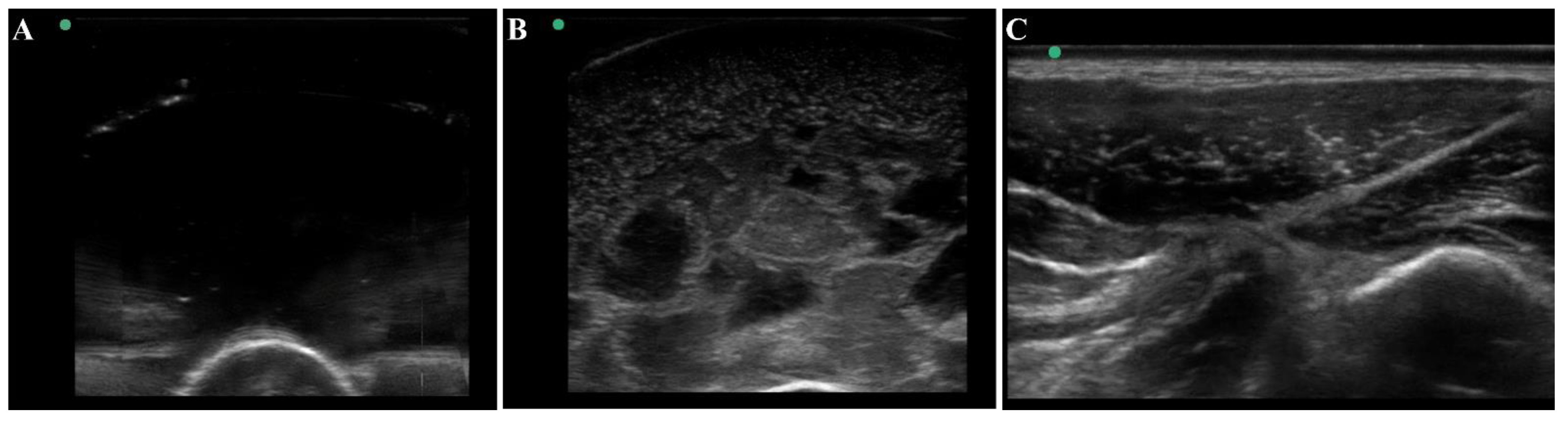 Jimaging 08 00270 g004