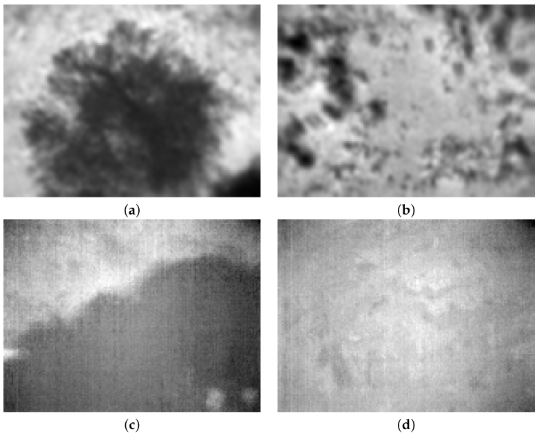 Jimaging 08 00279 g008