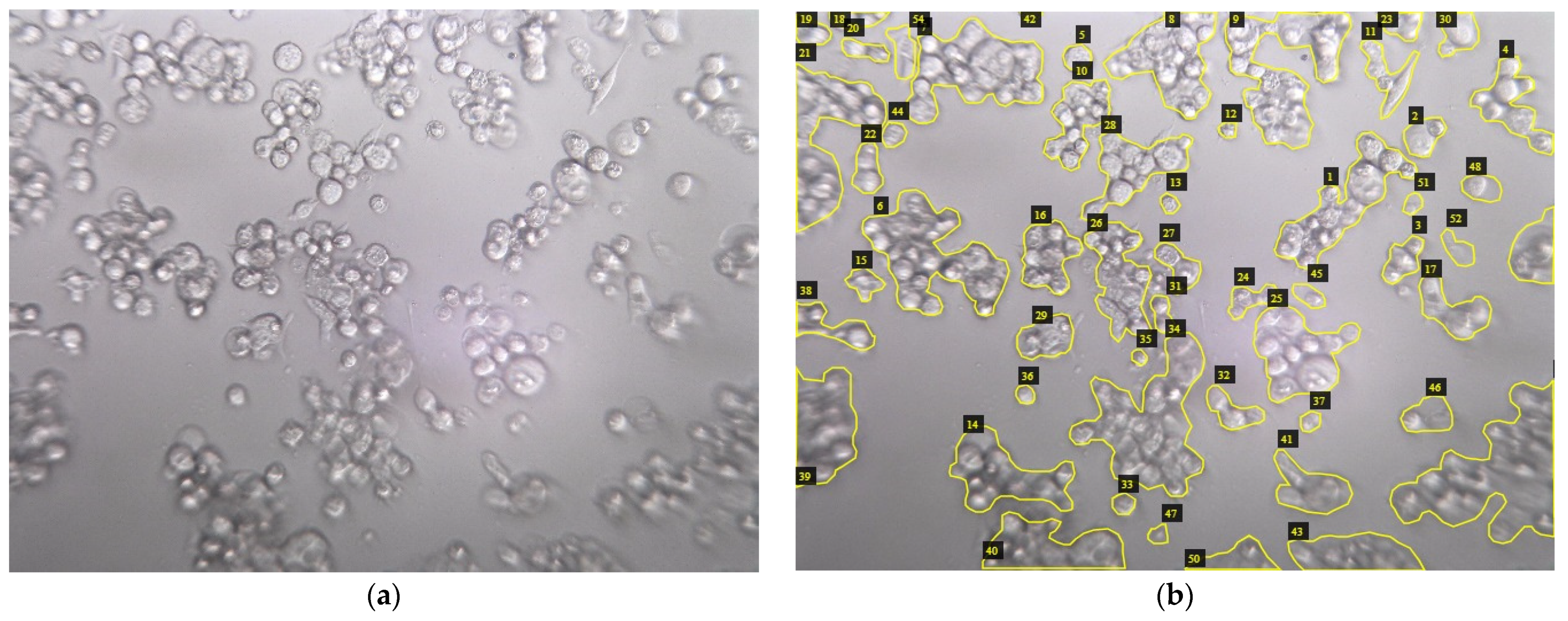 Jimaging 08 00281 g003 Jimaging 08 00281 g003