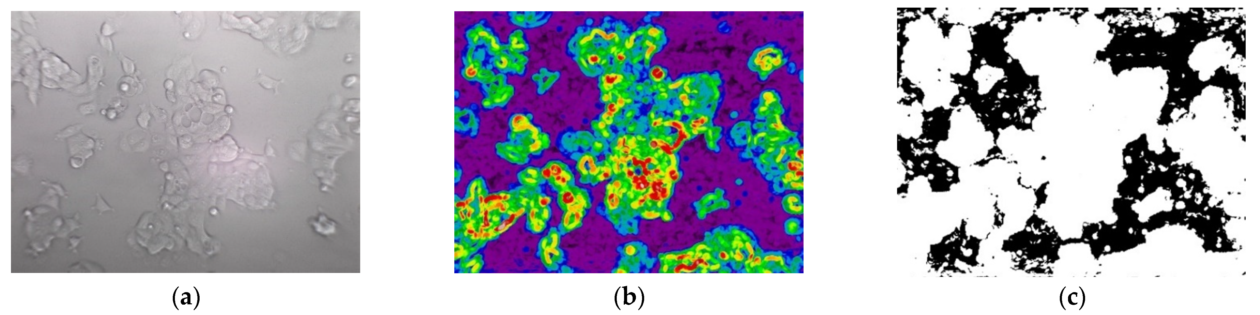 Jimaging 08 00281 g008 Jimaging 08 00281 g008