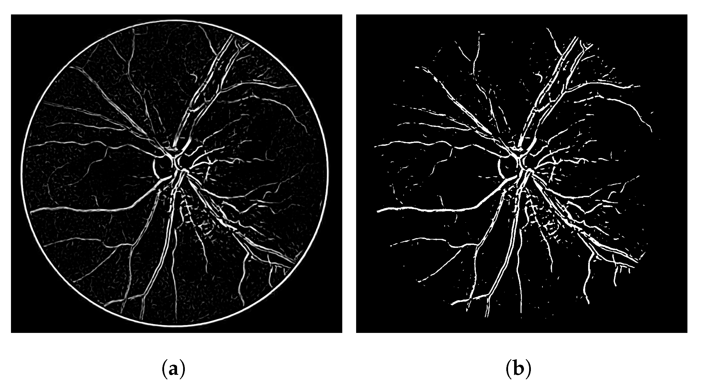 Jimaging 08 00291 g006a