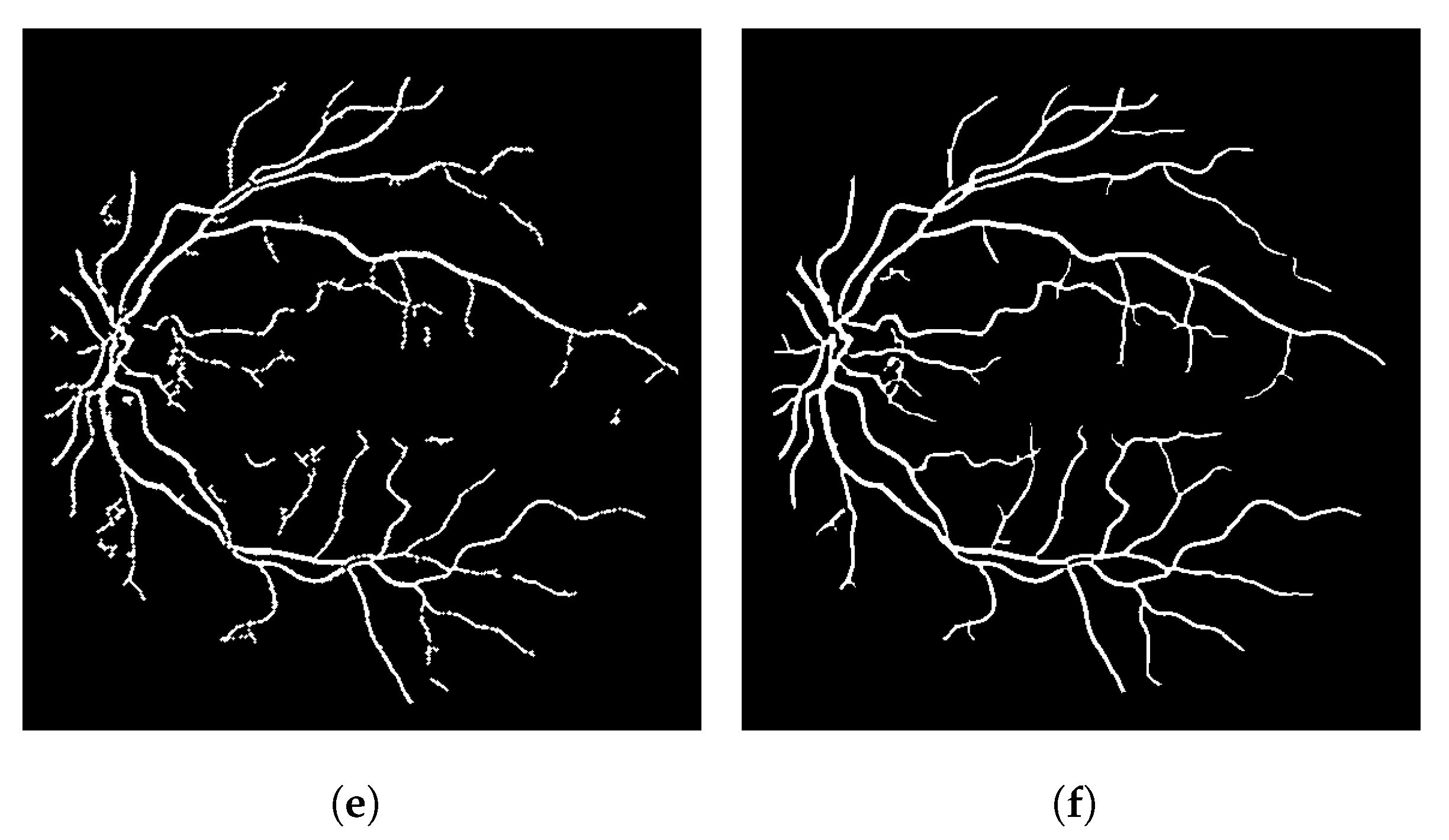 Jimaging 08 00291 g007b