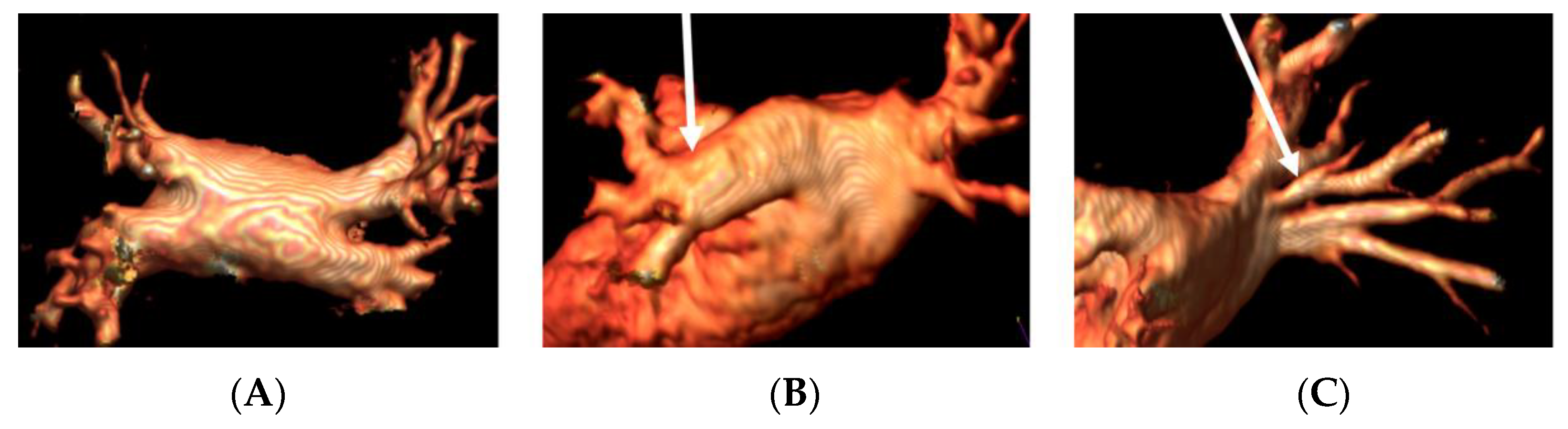 Jimaging 08 00300 g001