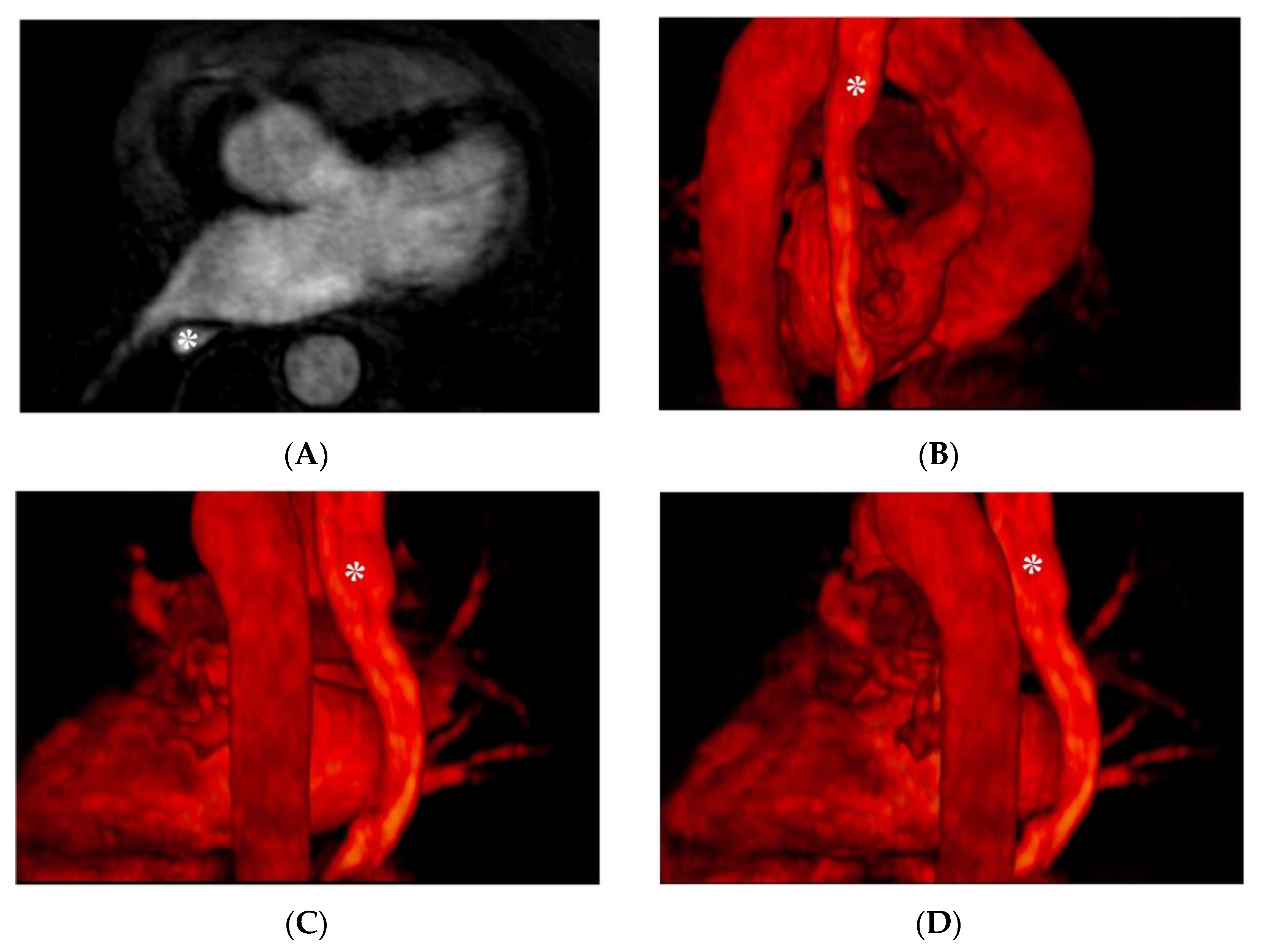 Jimaging 08 00300 g003