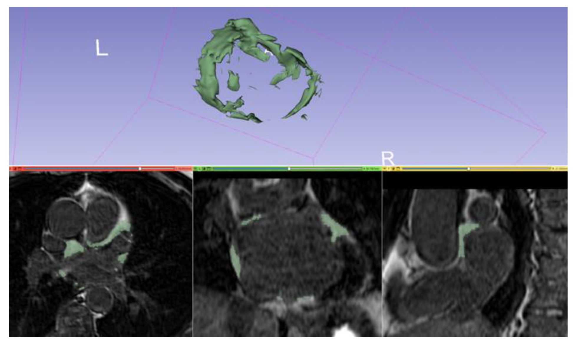 Jimaging 08 00300 g008