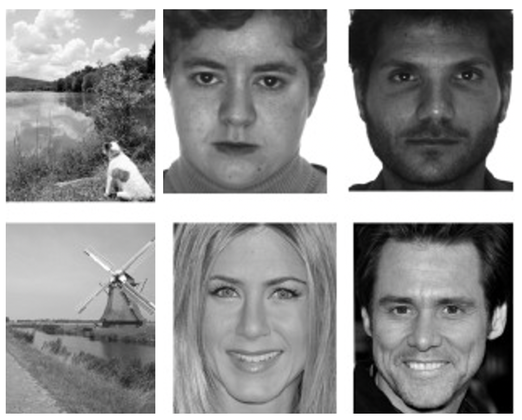 Jimaging 08 00307 g002