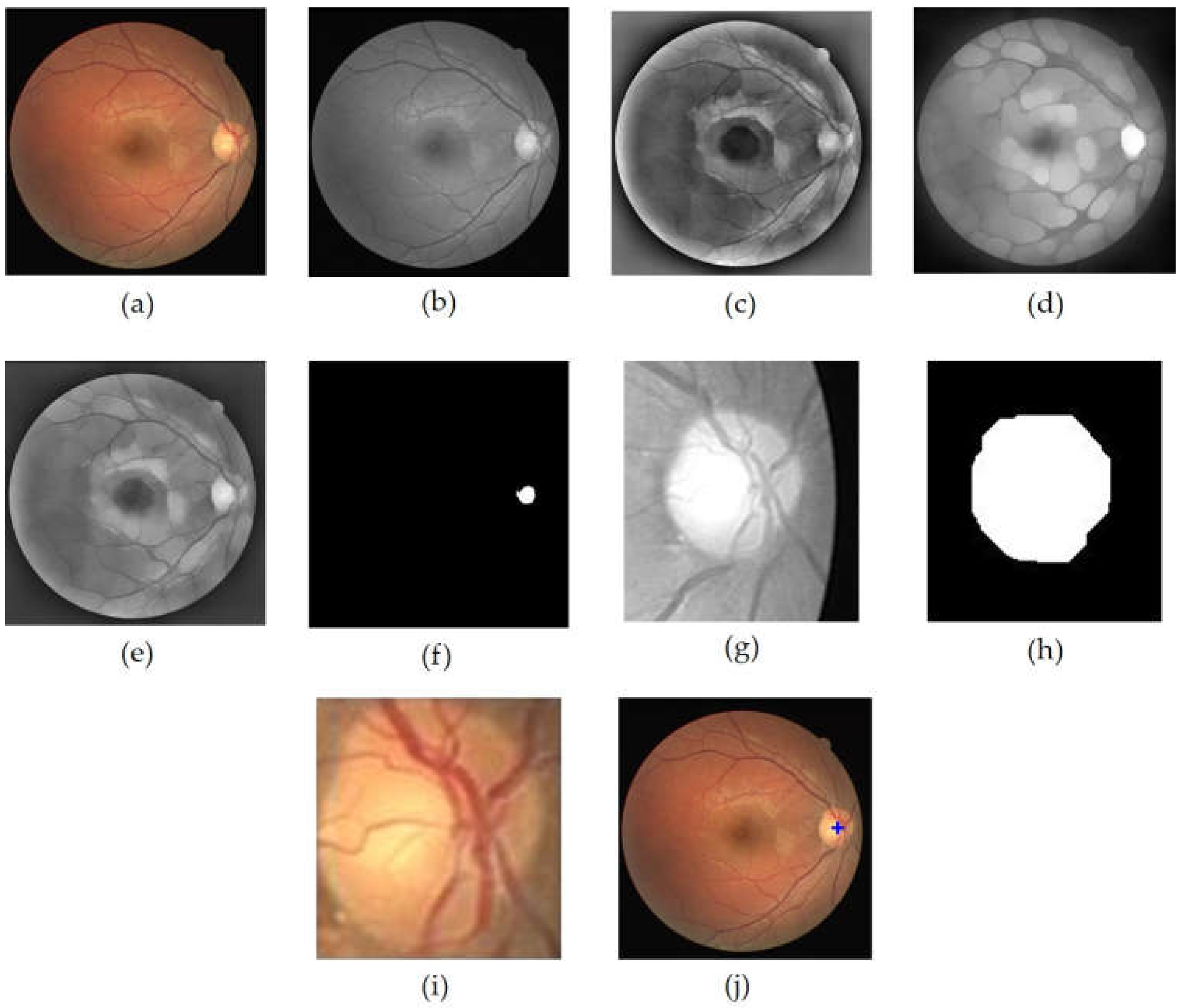 Jimaging 08 00313 g003