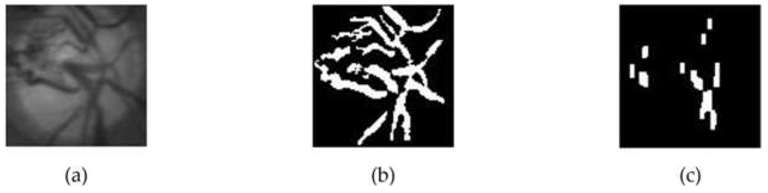 Jimaging 08 00313 g005