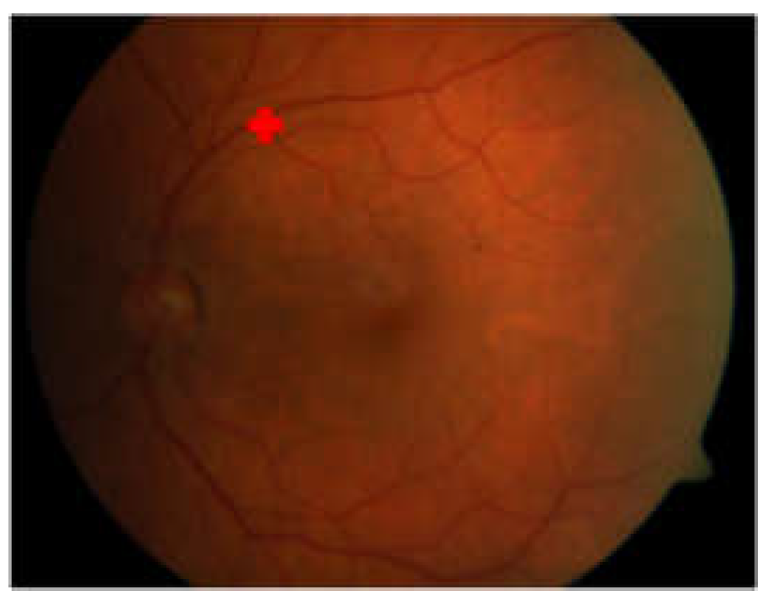 Jimaging 08 00313 g010