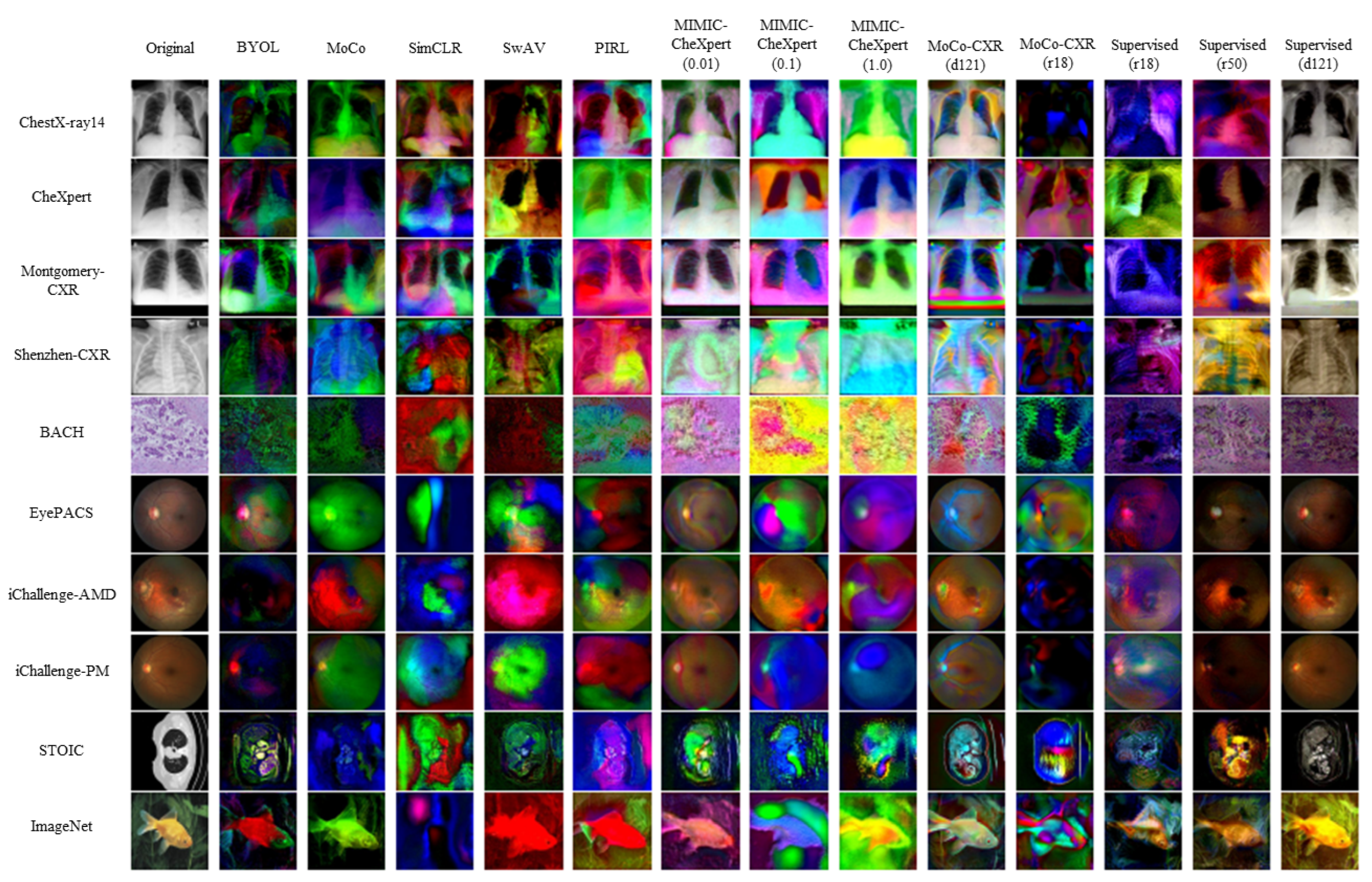 Jimaging 08 00320 g0a5 Jimaging 08 00320 g0a5