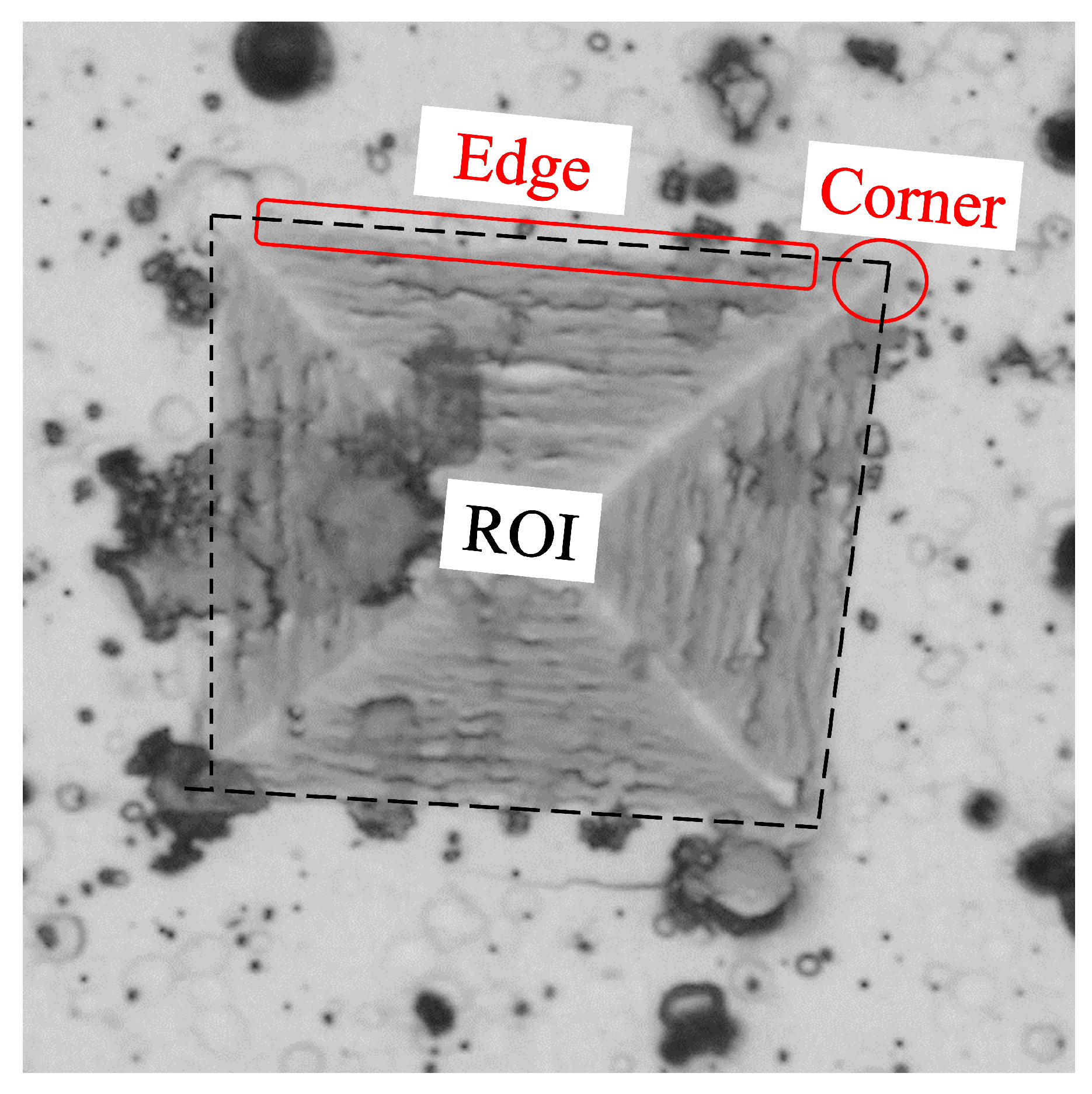 Jimaging 09 00008 g003