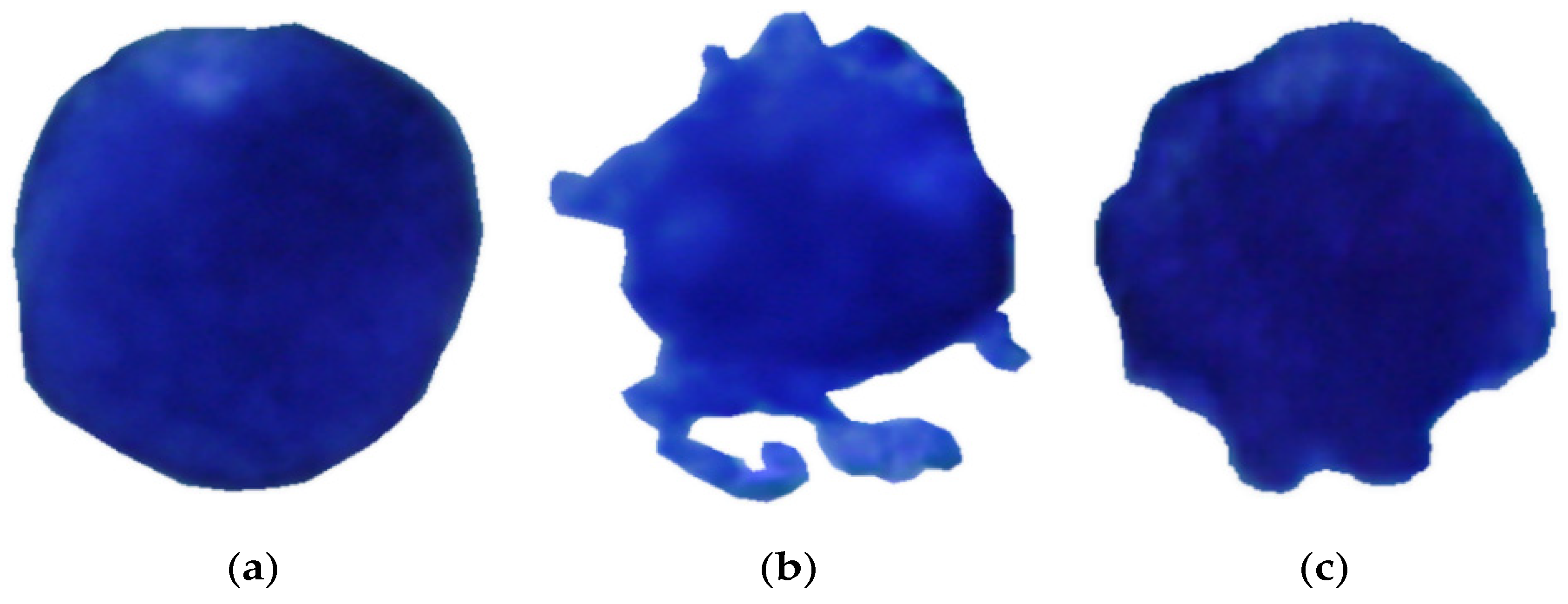 Jimaging 09 00013 g001