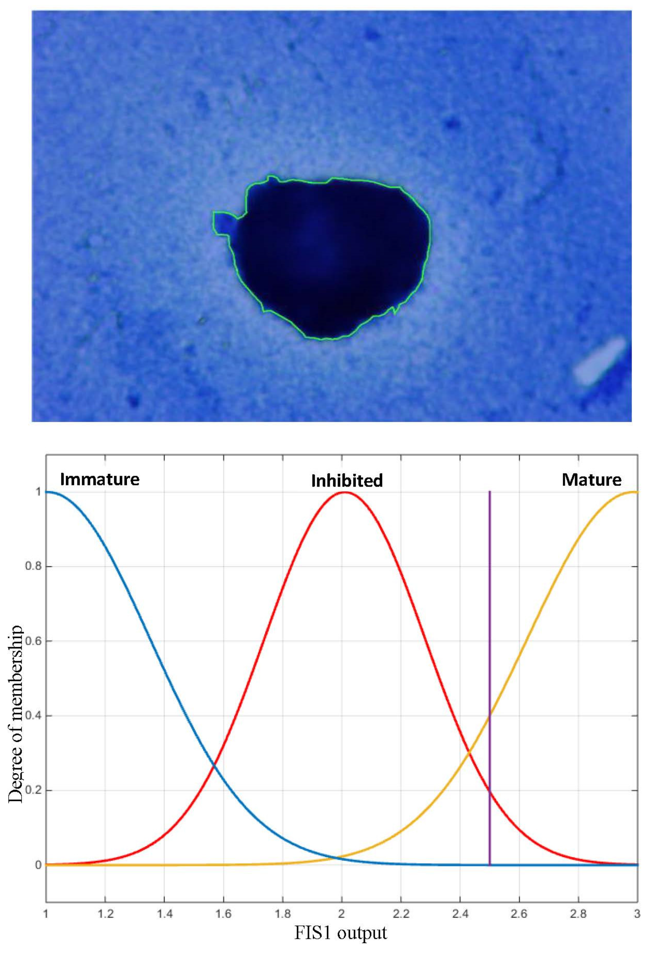 Jimaging 09 00013 g010