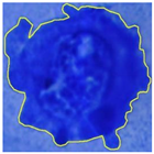 Jimaging 09 00013 i002 Jimaging 09 00013 i002