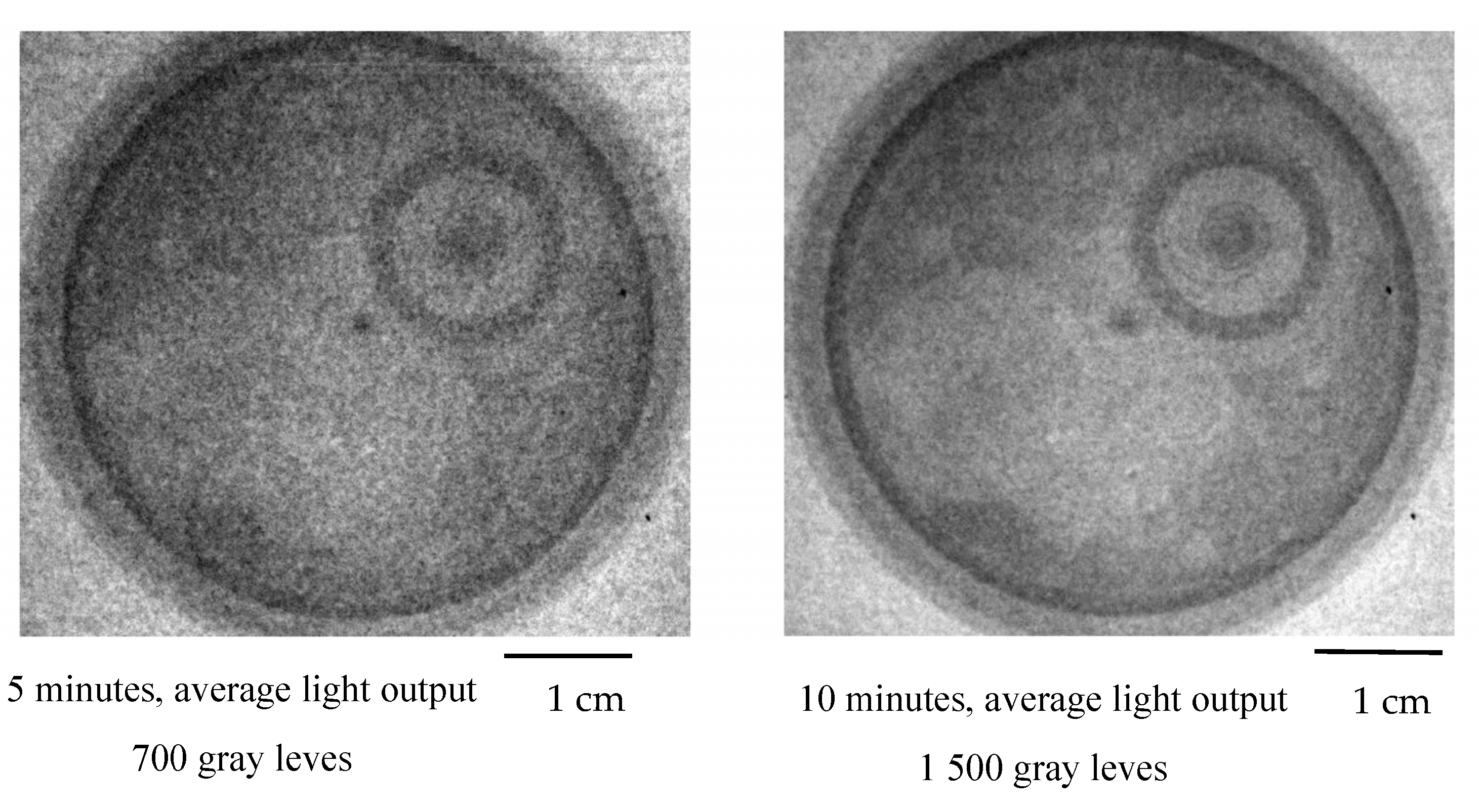 Jimaging 09 00015 g007