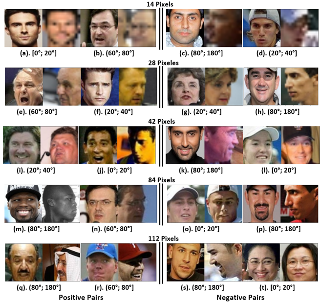 Jimaging 09 00021 g012