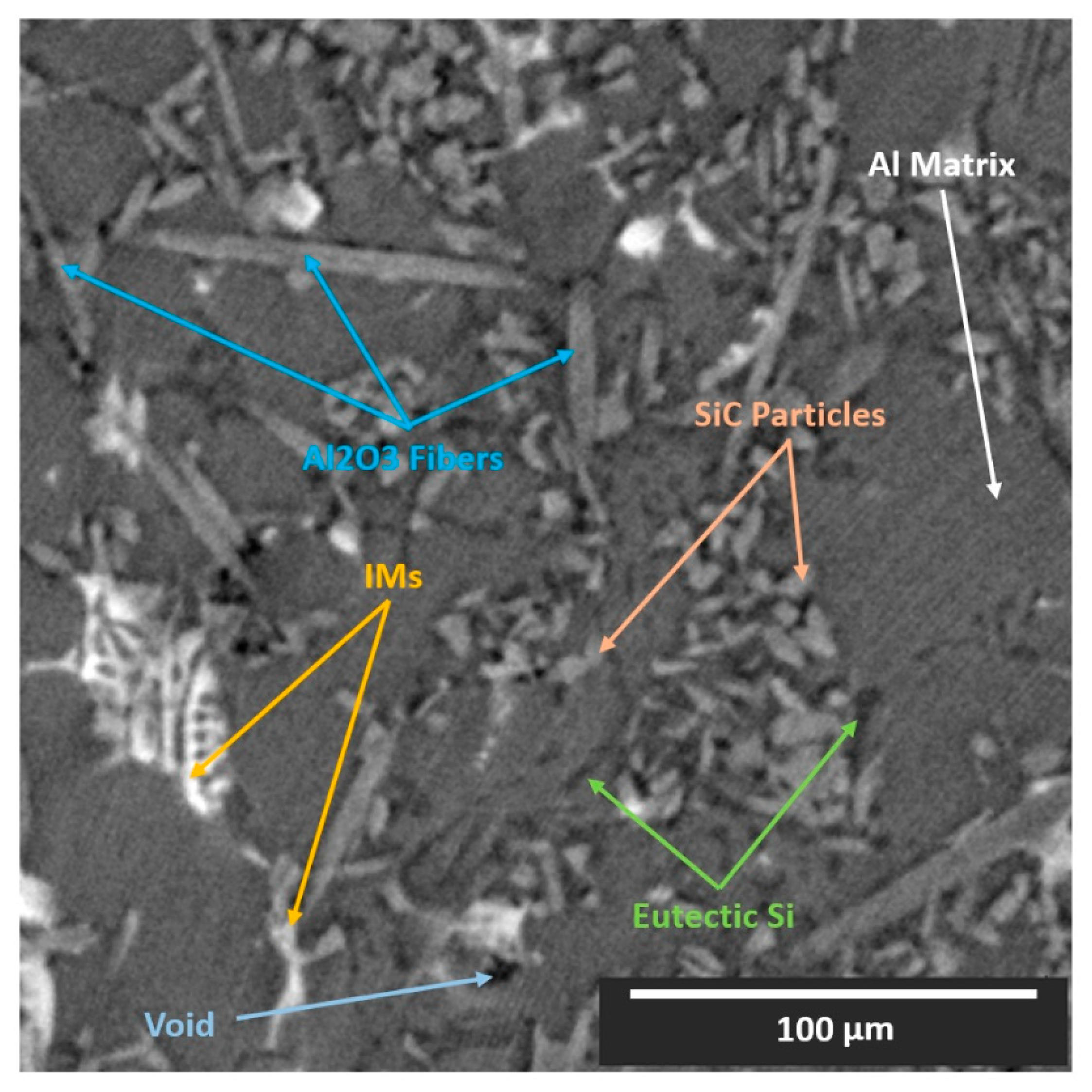 Jimaging 09 00022 g001 Jimaging 09 00022 g001