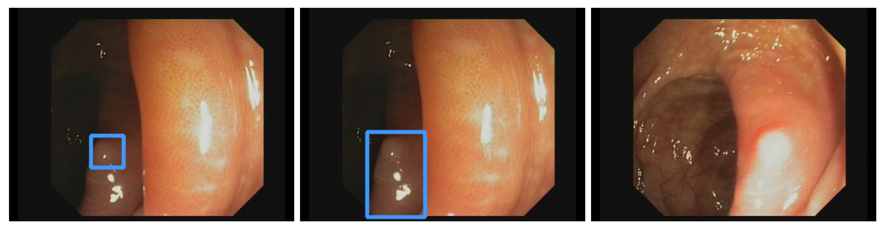 Jimaging 09 00026 g015