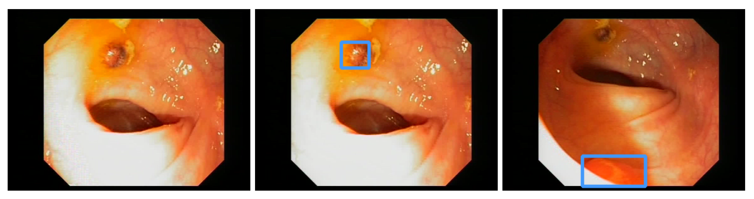 Jimaging 09 00026 g016