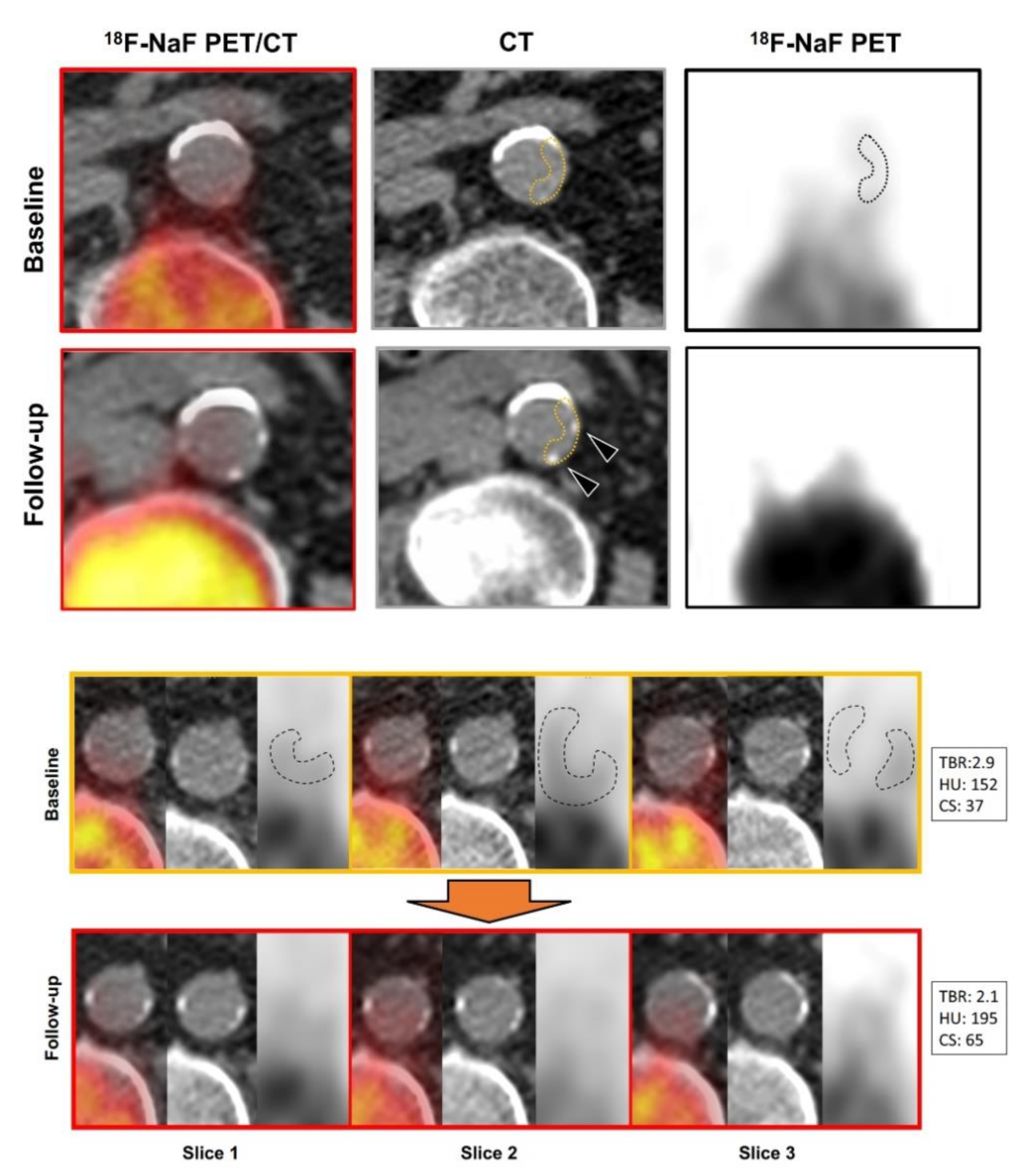 Jimaging 09 00031 g002 Jimaging 09 00031 g002