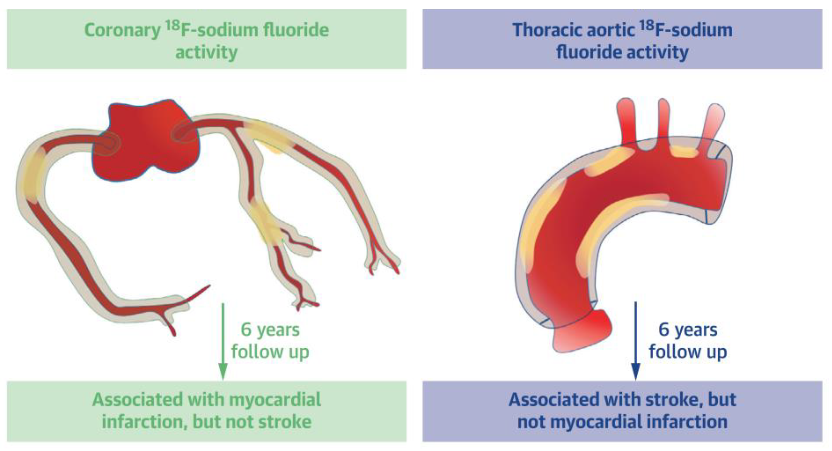 Jimaging 09 00031 g004 Jimaging 09 00031 g004