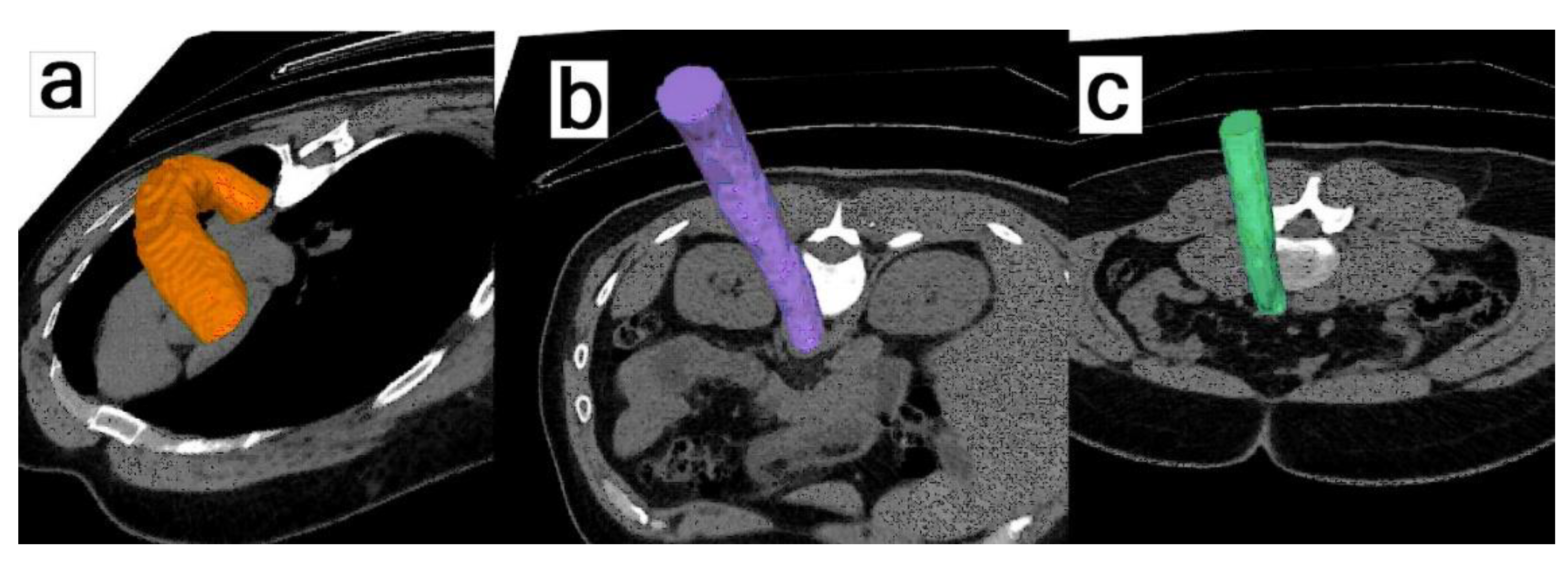 Jimaging 09 00031 g005 Jimaging 09 00031 g005