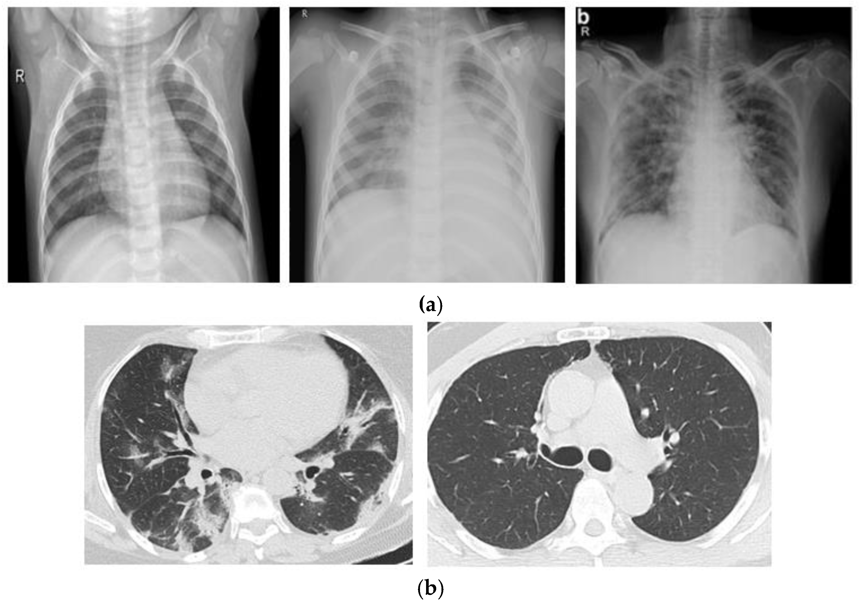 Jimaging 09 00042 g002