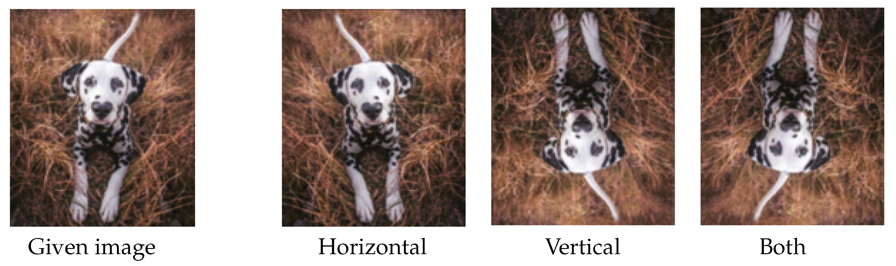 Jimaging 09 00046 g006