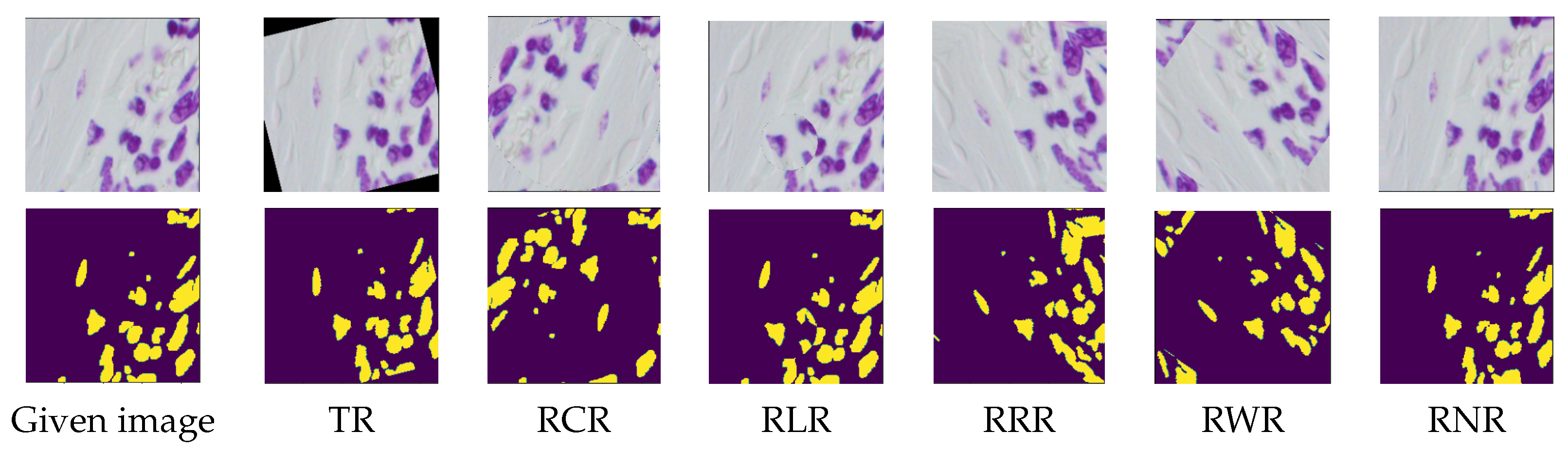 Jimaging 09 00046 g018