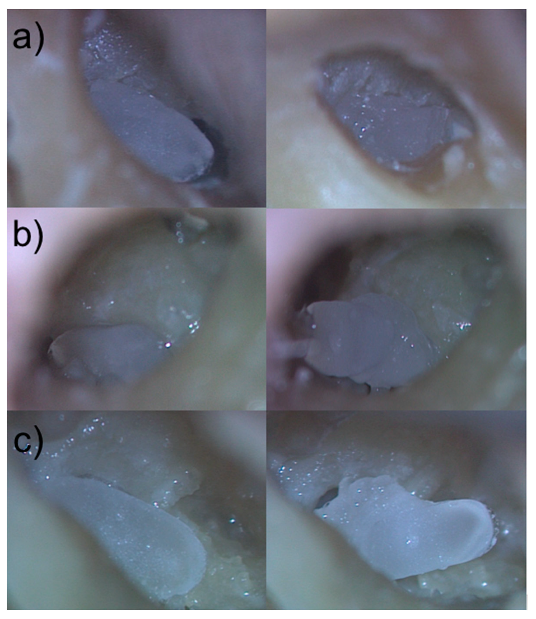 Jimaging 09 00051 g007