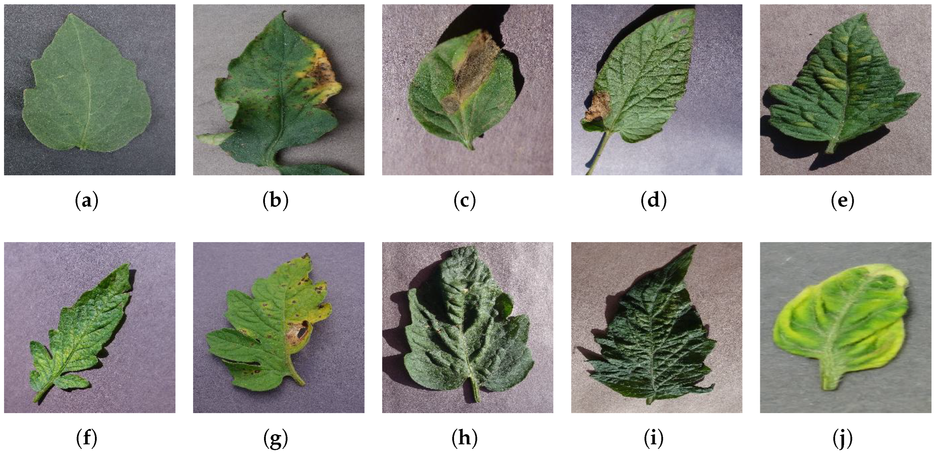 Jimaging 09 00053 g001