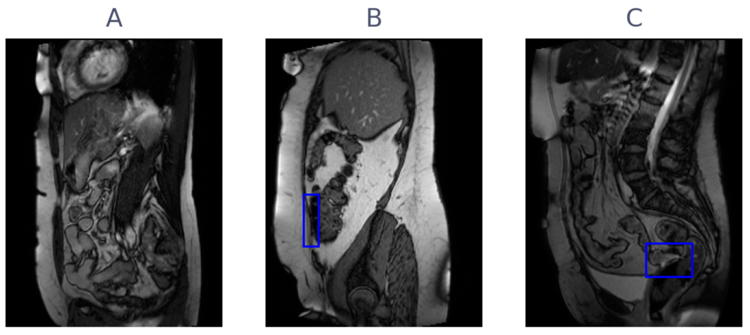 Jimaging 09 00055 g002
