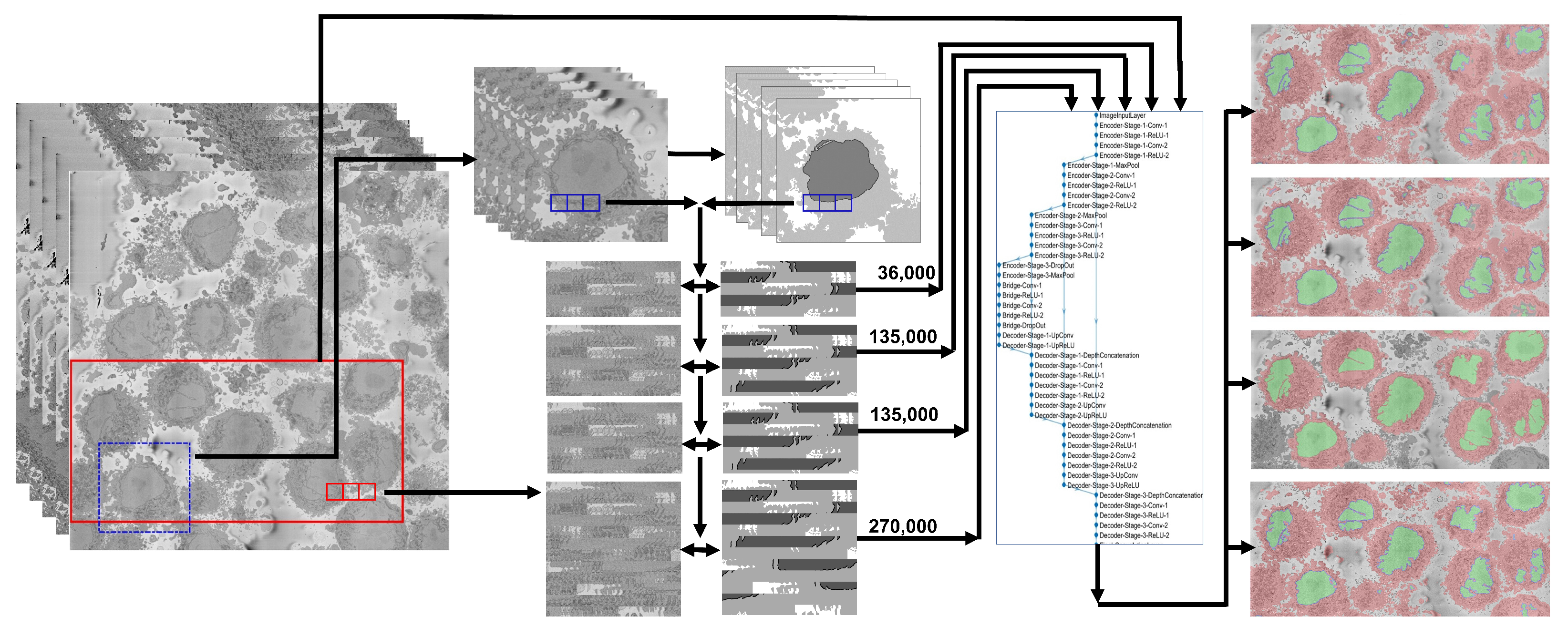 Jimaging 09 00059 g001