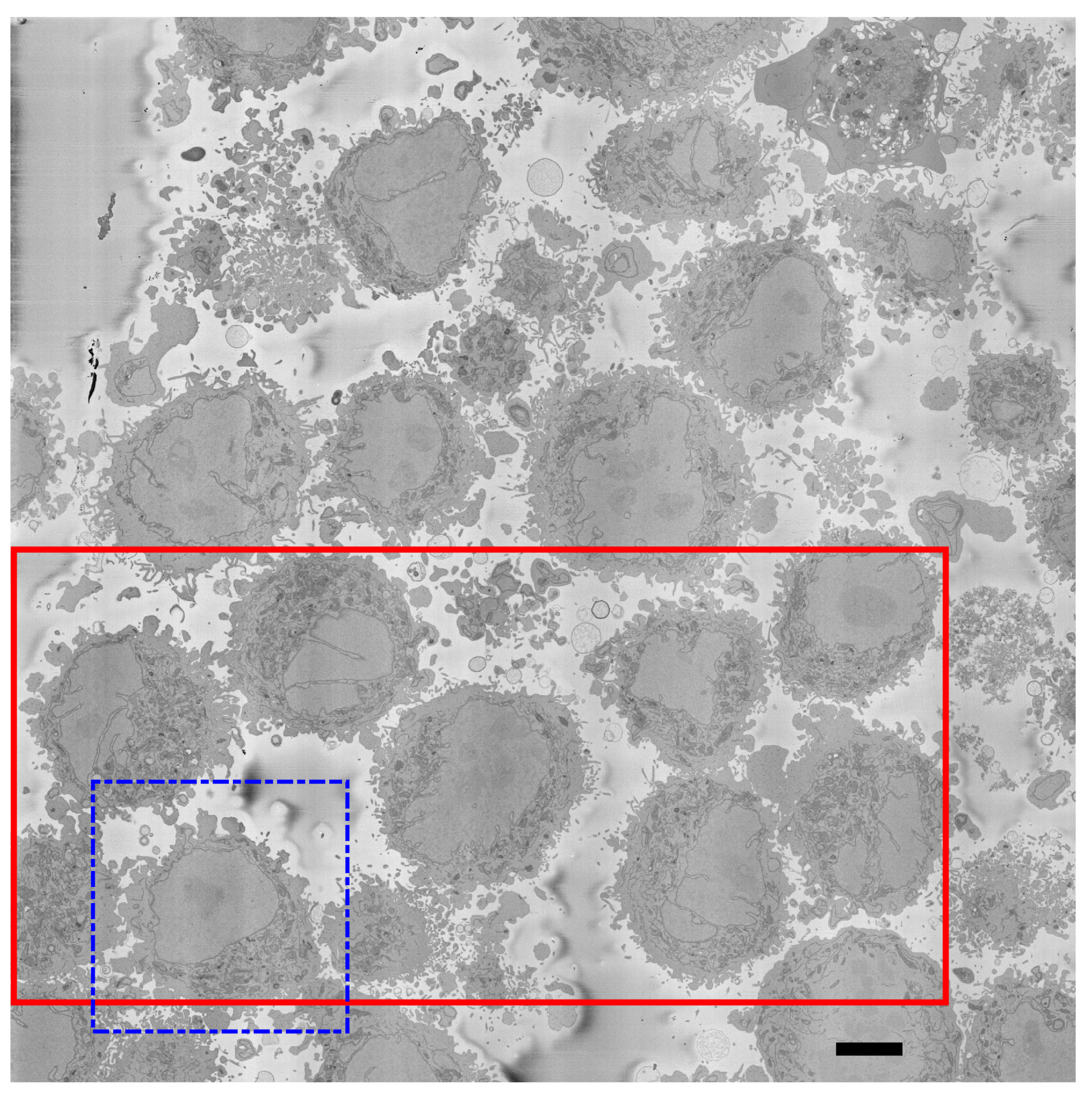 Jimaging 09 00059 g002