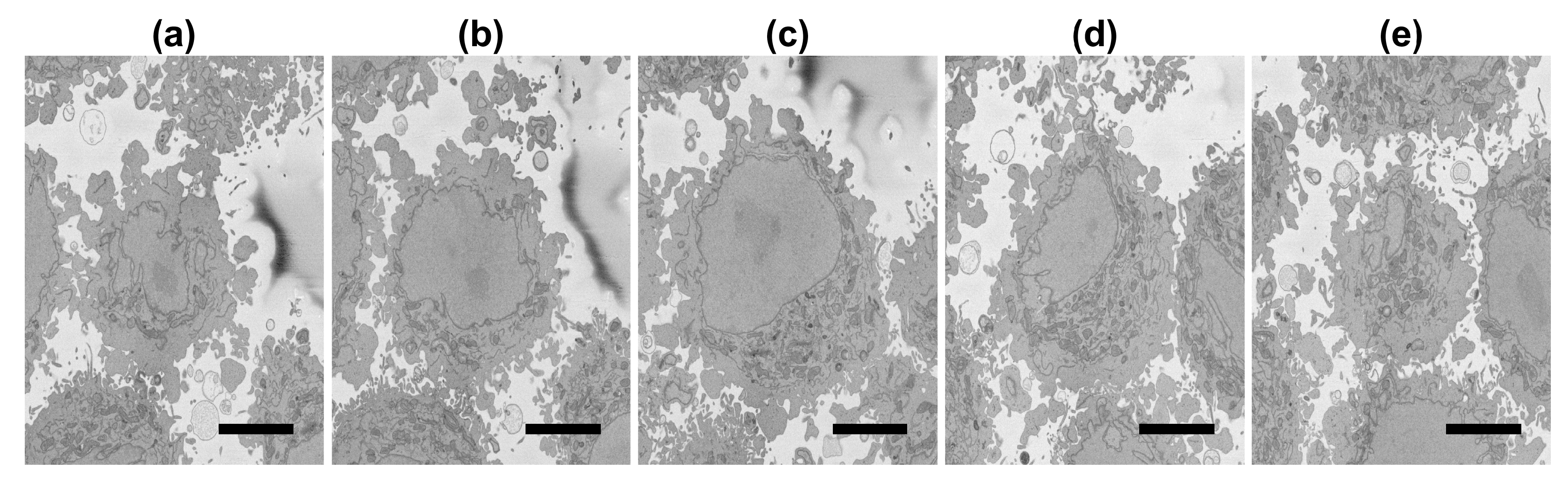 Jimaging 09 00059 g003