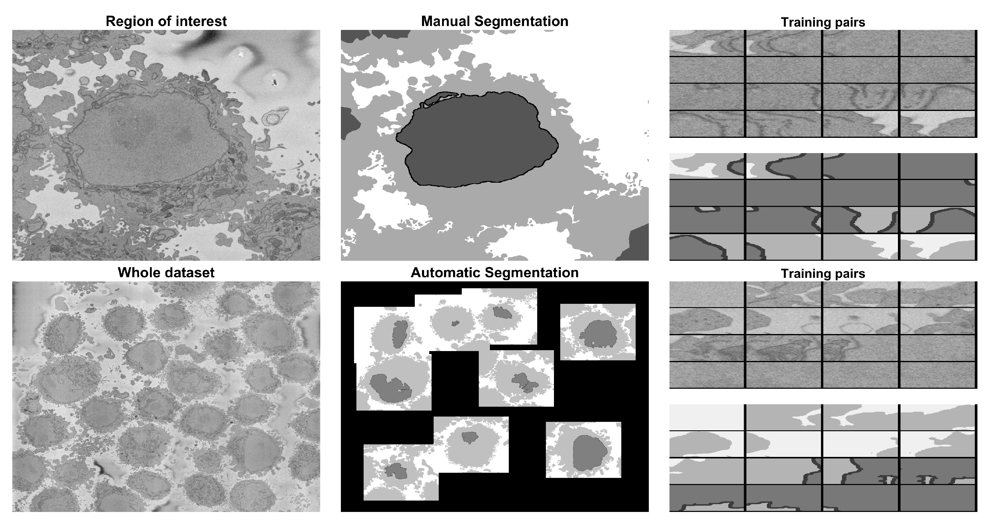Jimaging 09 00059 g006