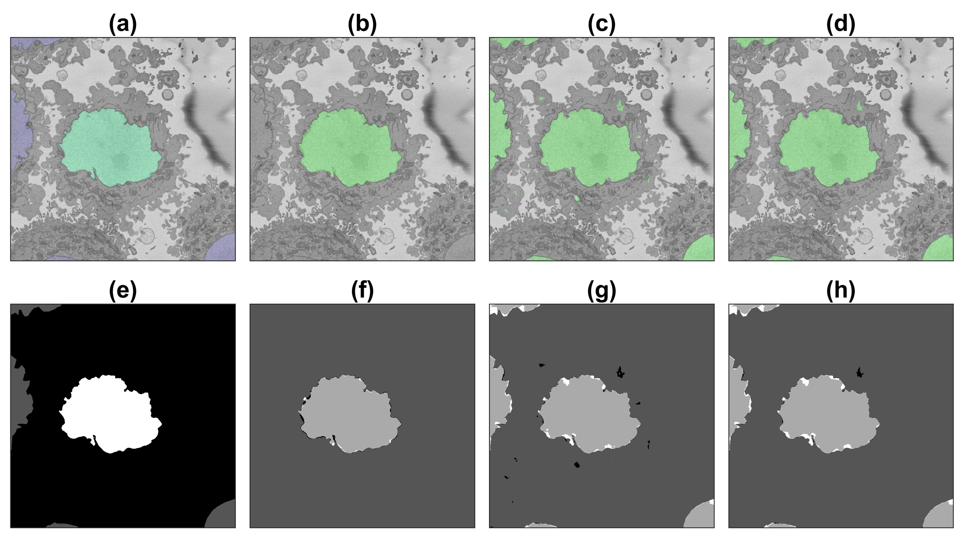 Jimaging 09 00059 g008